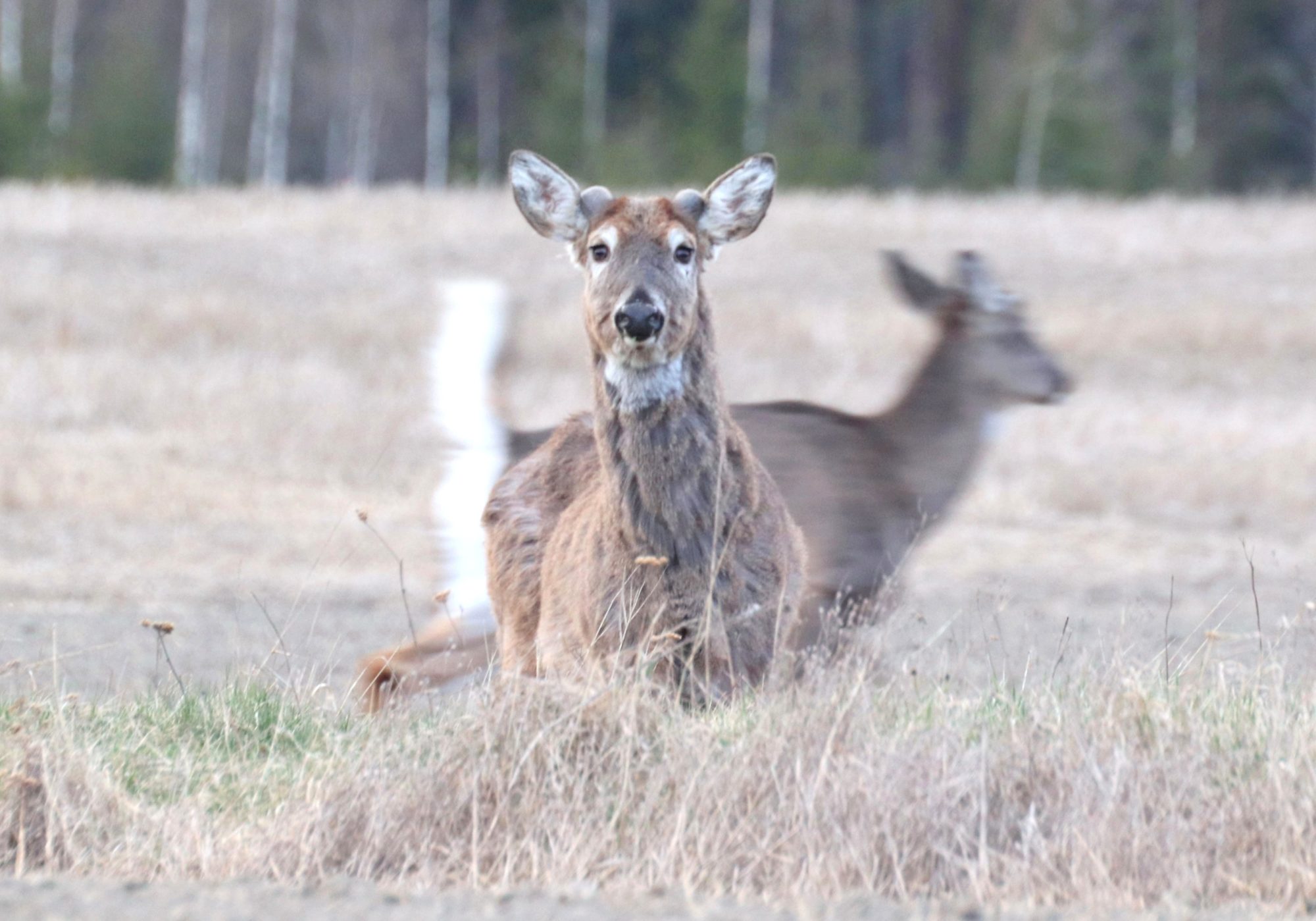 Valokuvaaja: Irja Lehtinen