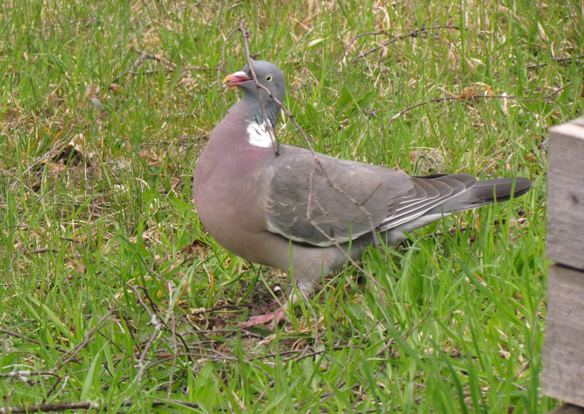 Valokuvaaja: Arja Illman