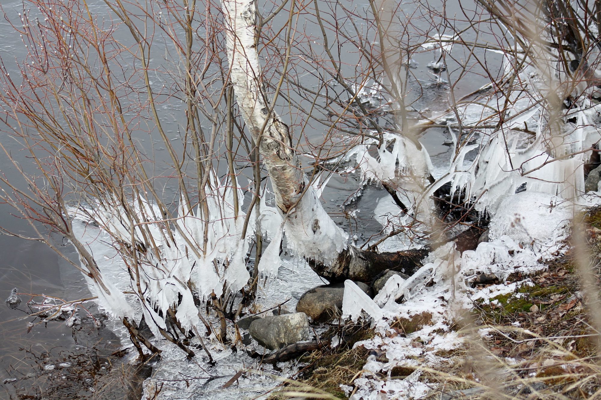 Valokuvaaja: Pirkko Siukonen