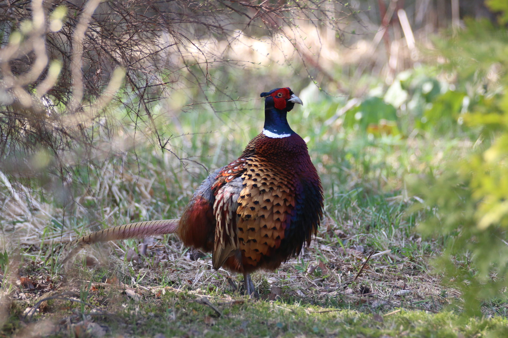 Valokuvaaja: Teija Järvenpää