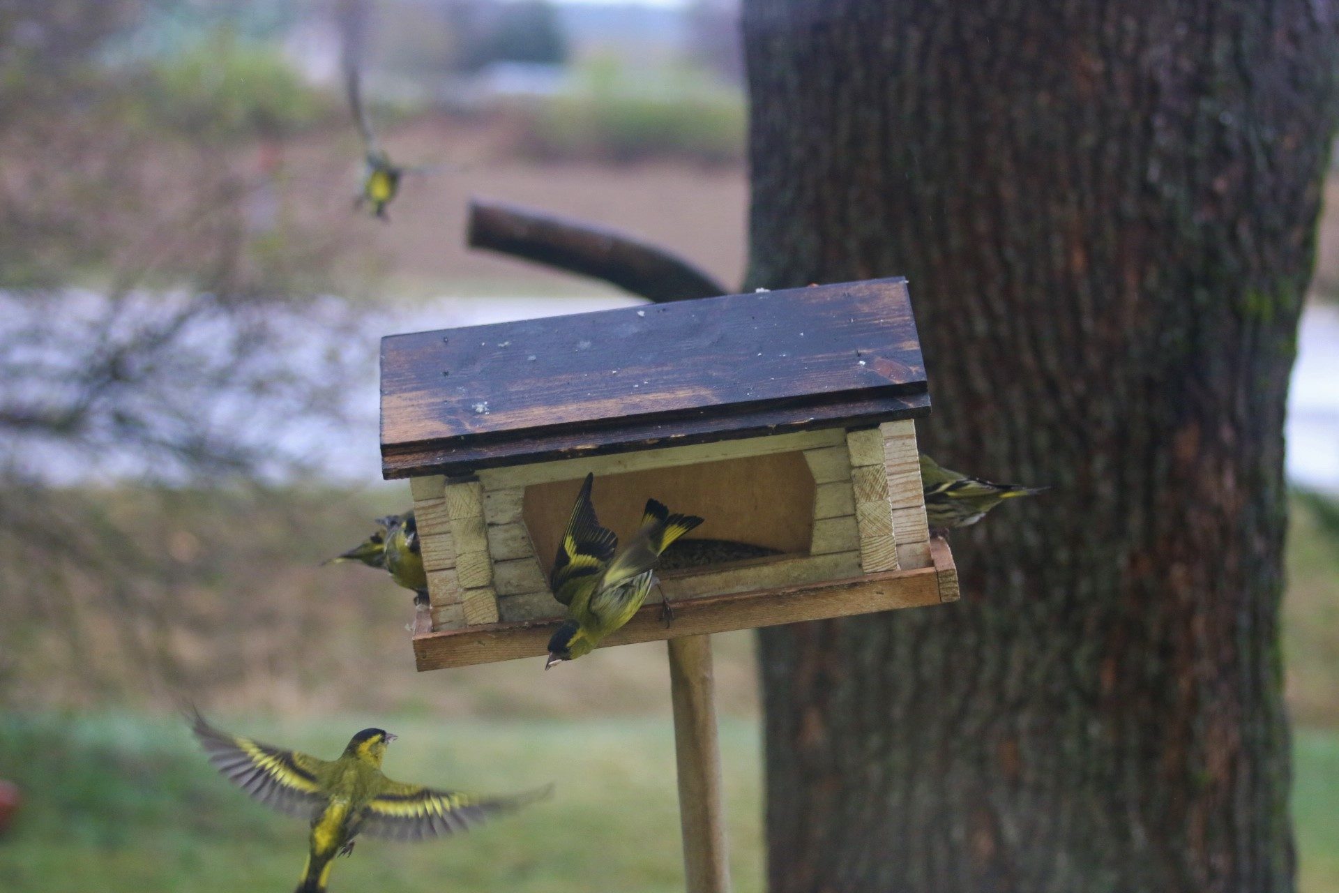 Valokuvaaja: Teija Järvenpää