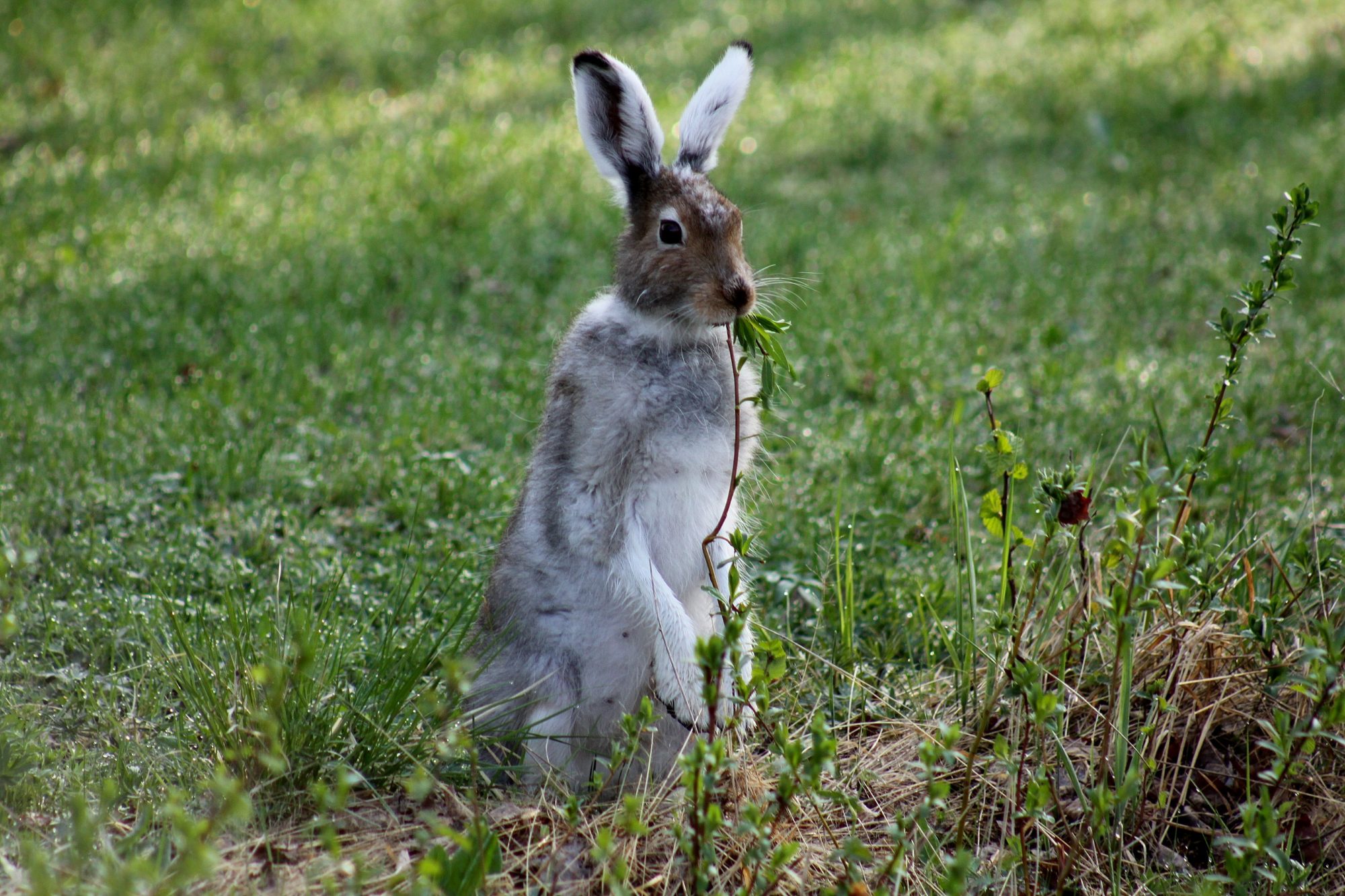 Valokuvaaja: Pirkko Siukonen