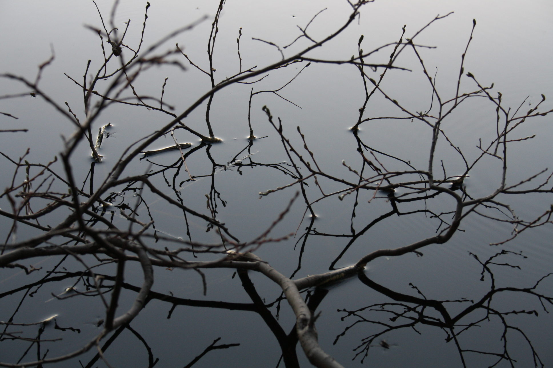 Valokuvaaja: Tuula Saarilahti