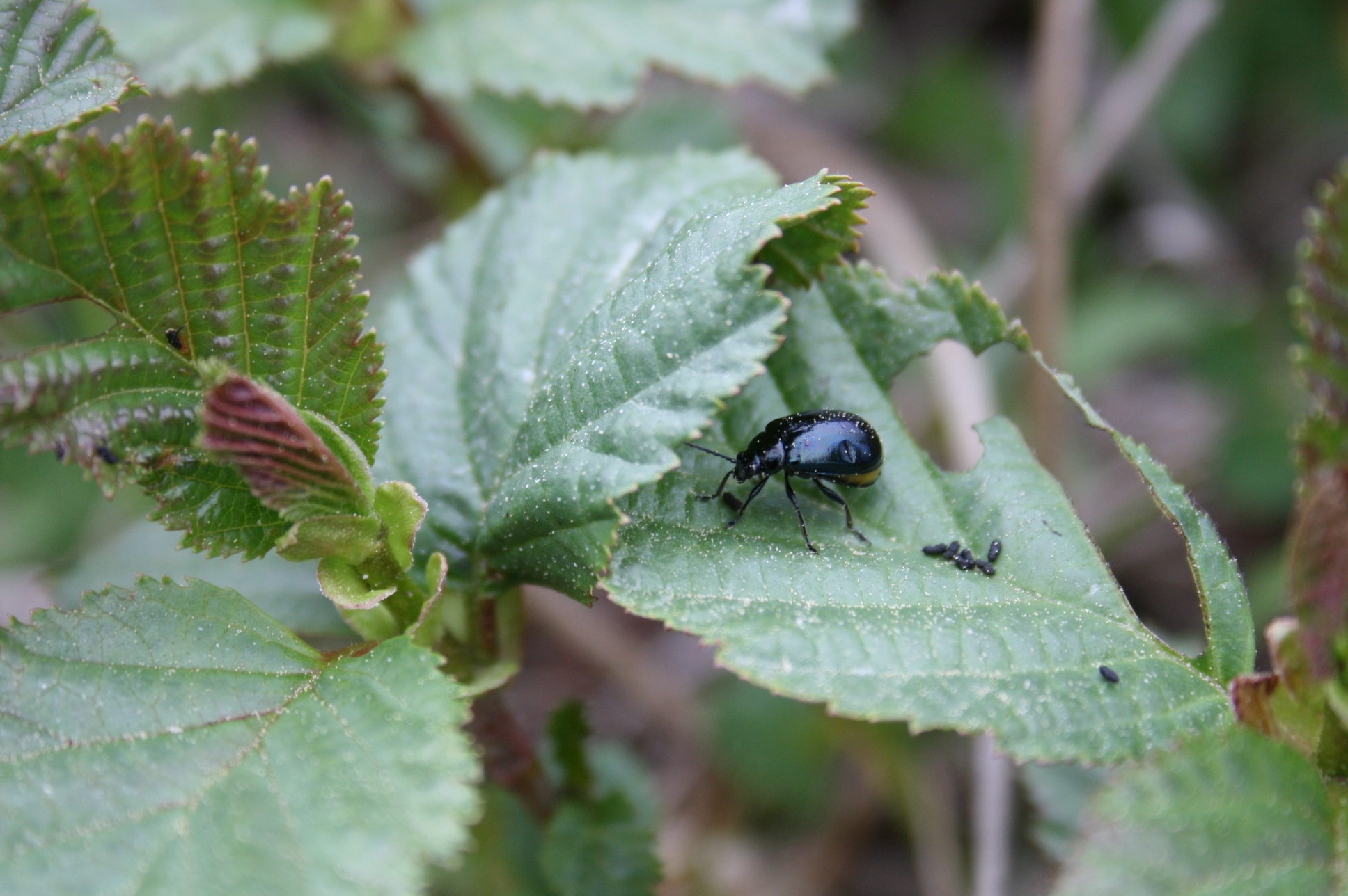 Valokuvaaja: Tuula Saarilahti