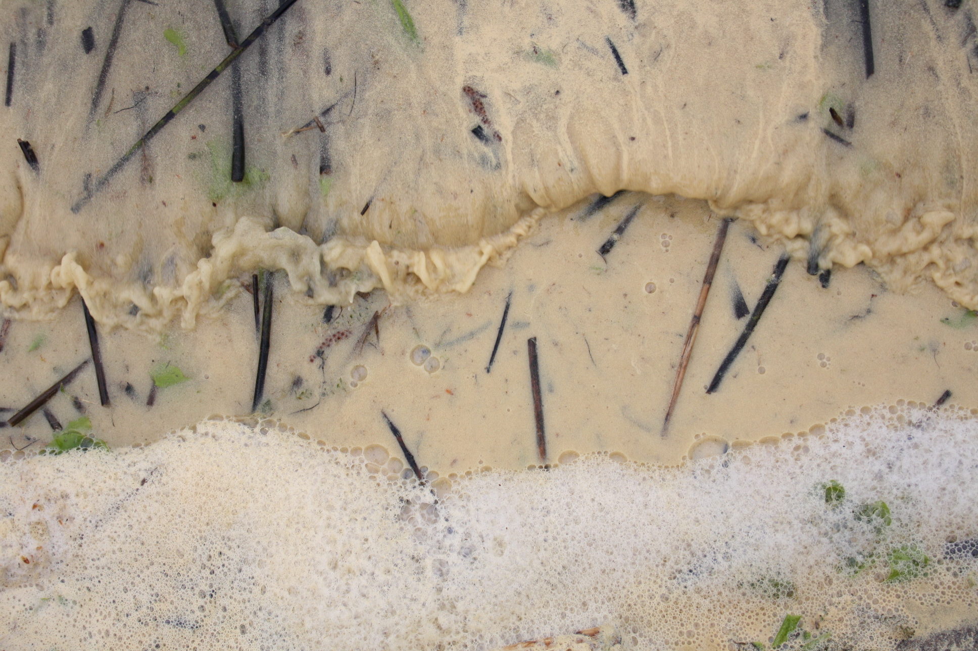 Valokuvaaja: Tuula Saarilahti Valokuvaaja: Tuula Saarilahti