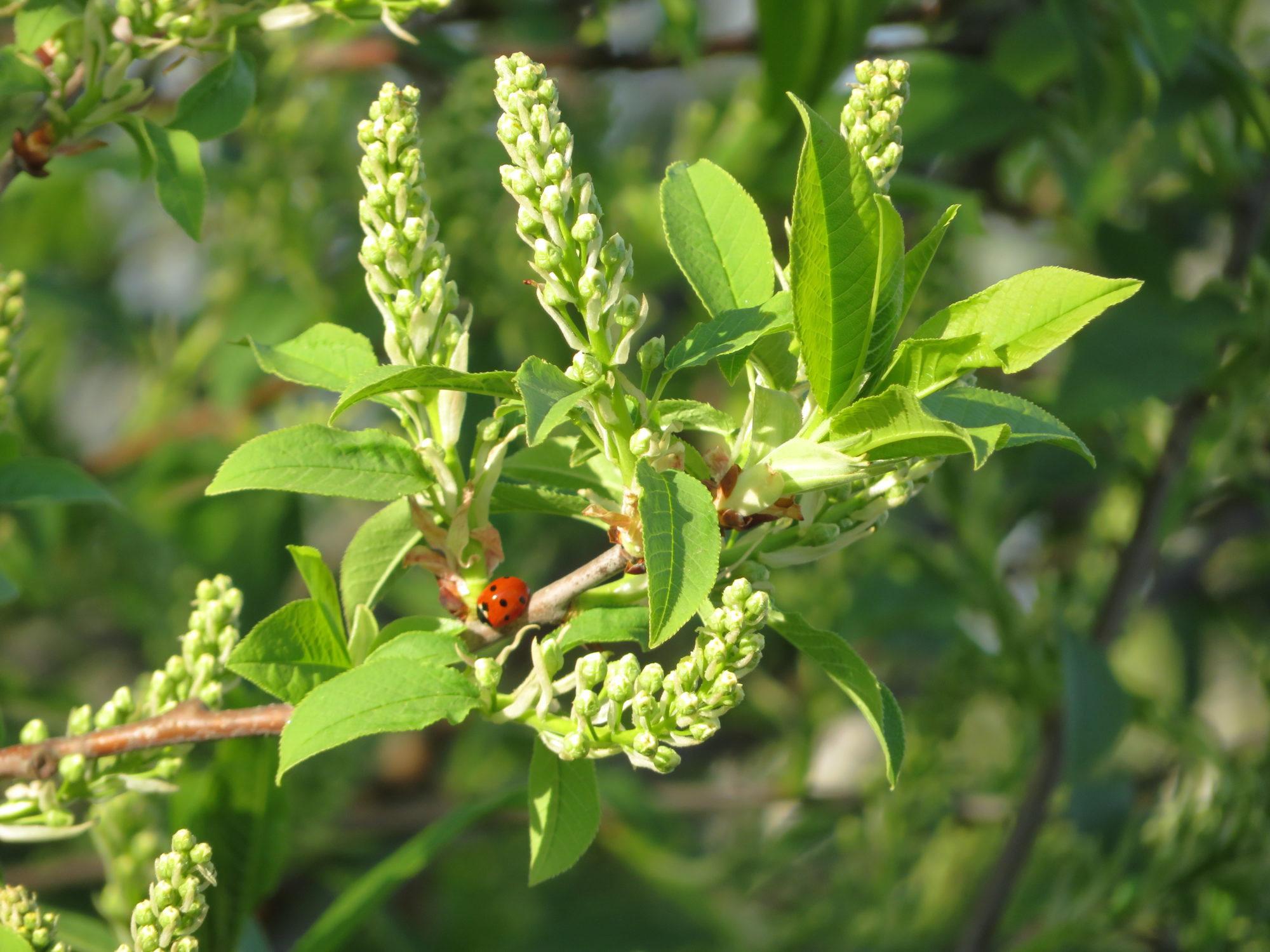 Valokuvaaja: Risto Kangassalo