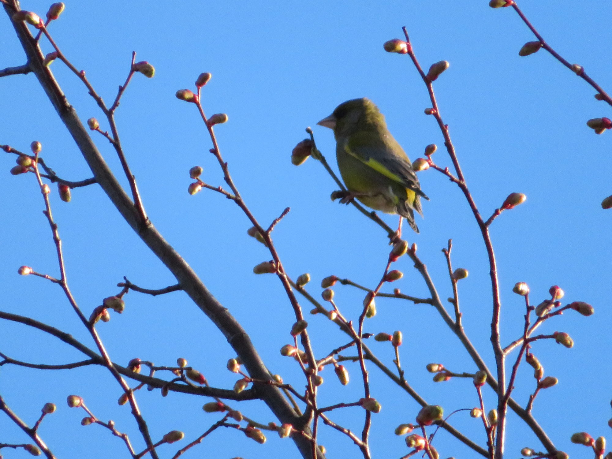 Valokuvaaja: Risto Kangassalo