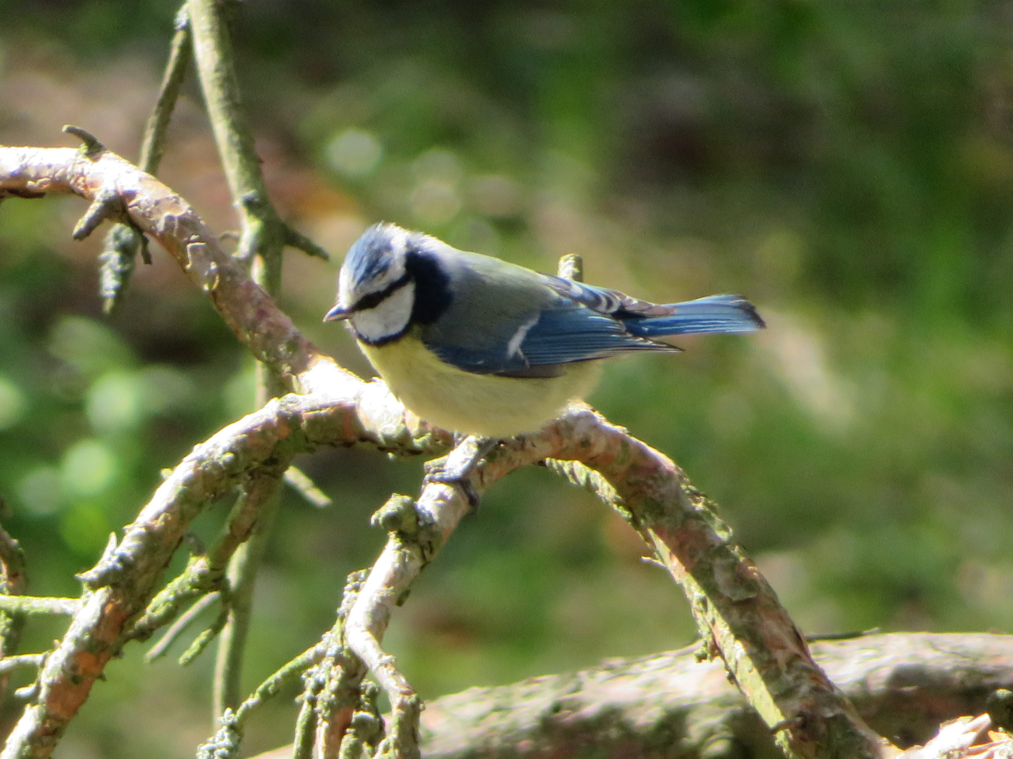 Valokuvaaja: Risto Kangassalo