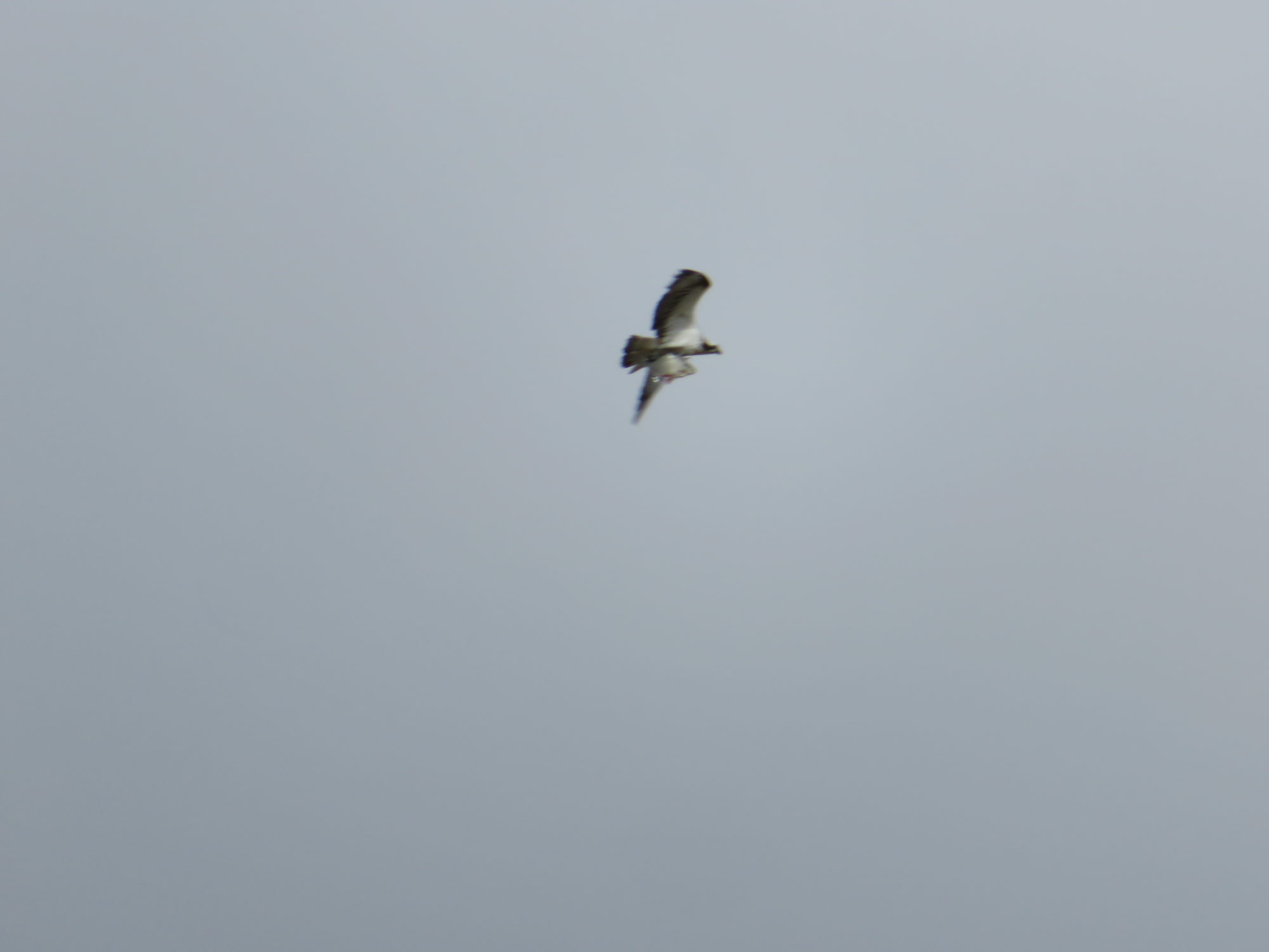 Valokuvaaja: Risto Kangassalo