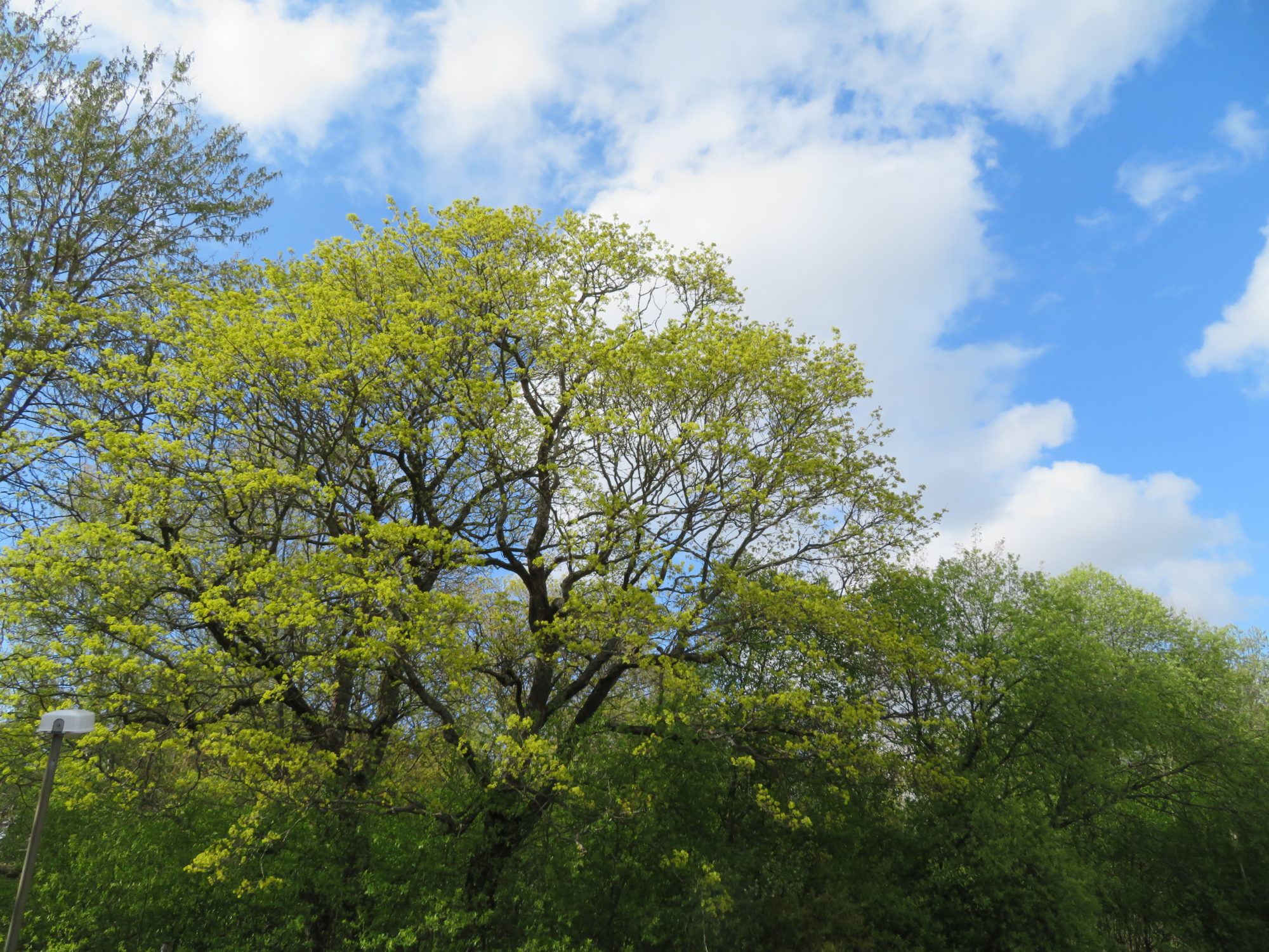 Valokuvaaja: Risto Kangassalo