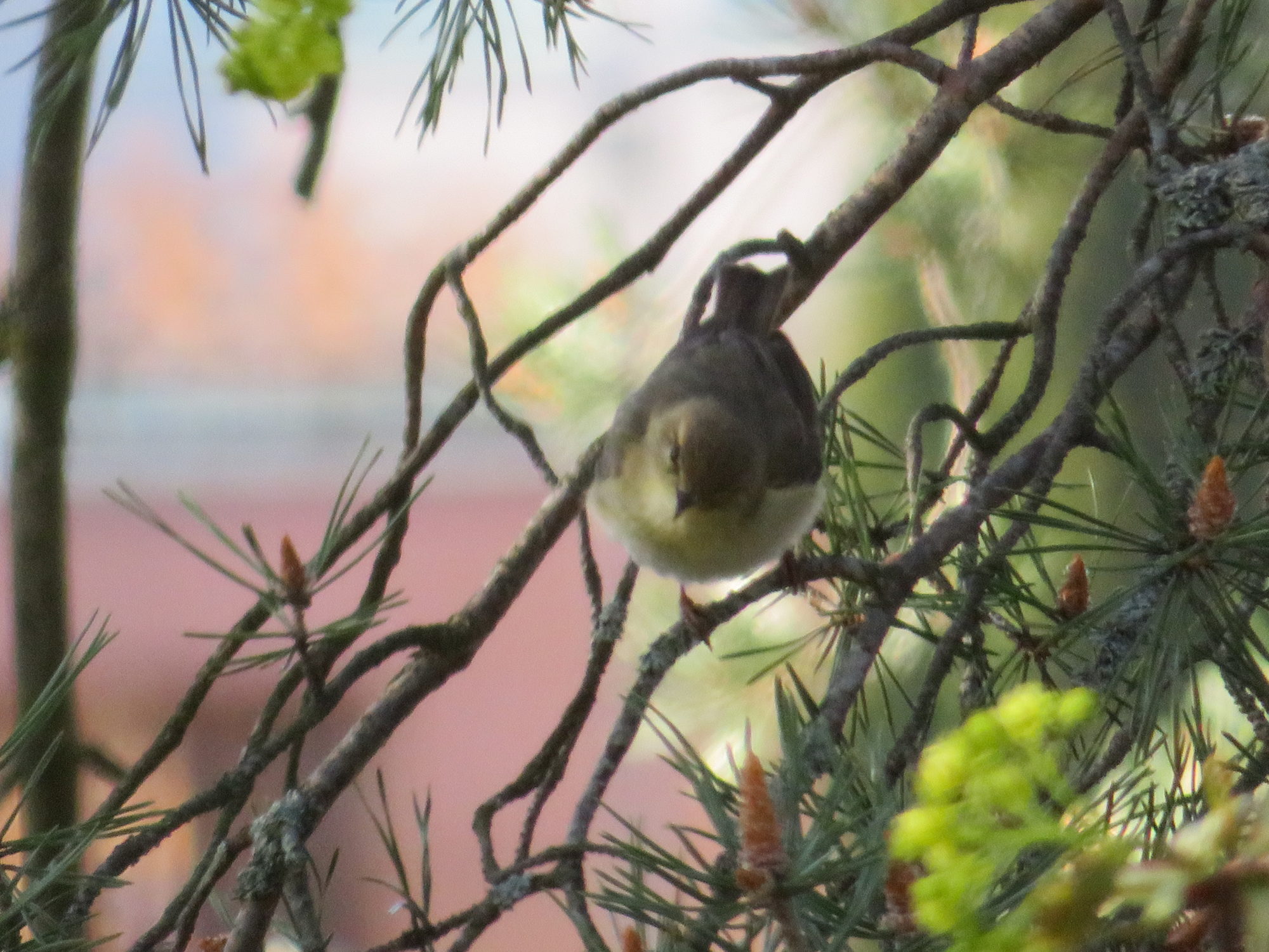 Valokuvaaja: Risto Kangassalo