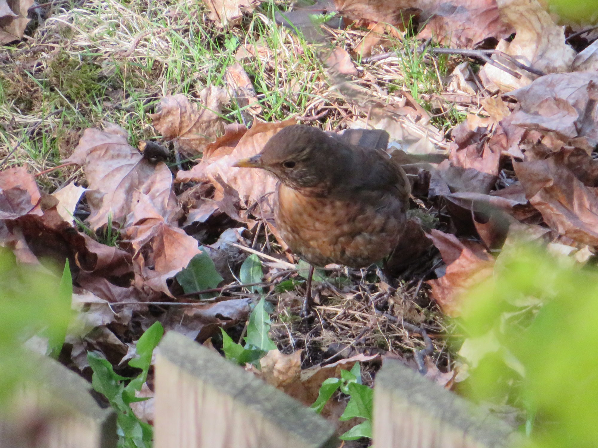 Valokuvaaja: Risto Kangassalo Valokuvaaja: Risto Kangassalo
