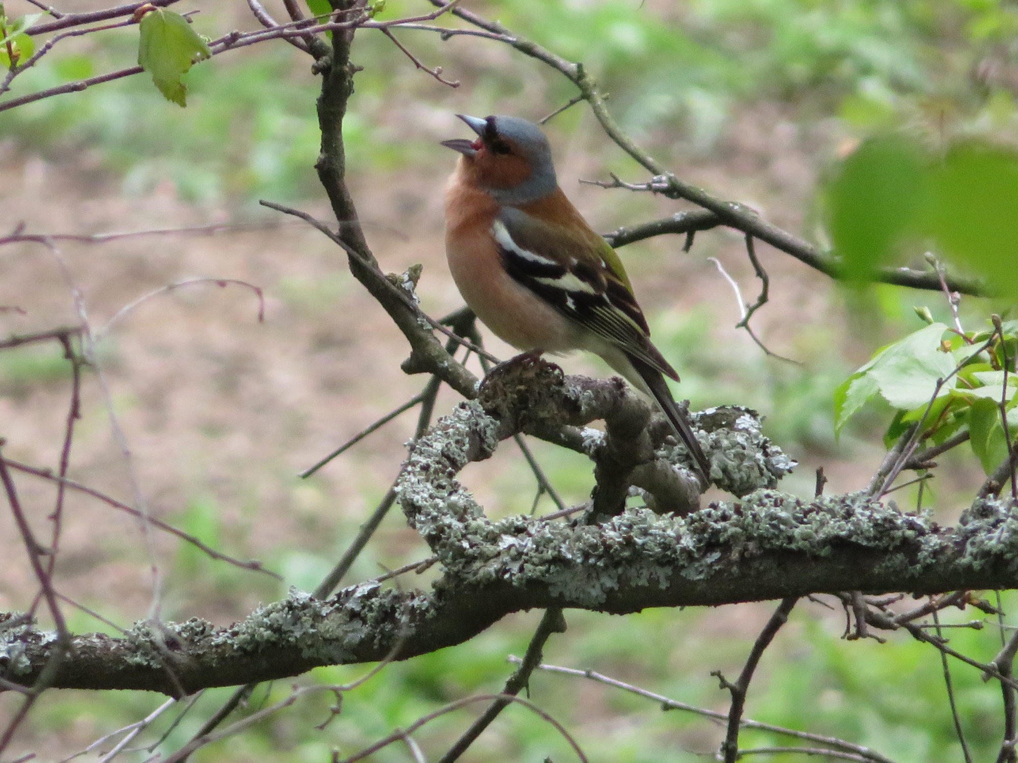 Valokuvaaja: Risto Kangassalo