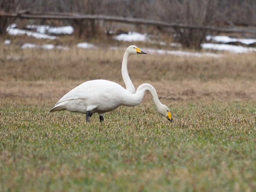 Valokuvaaja: KATRI JÄRVINEN