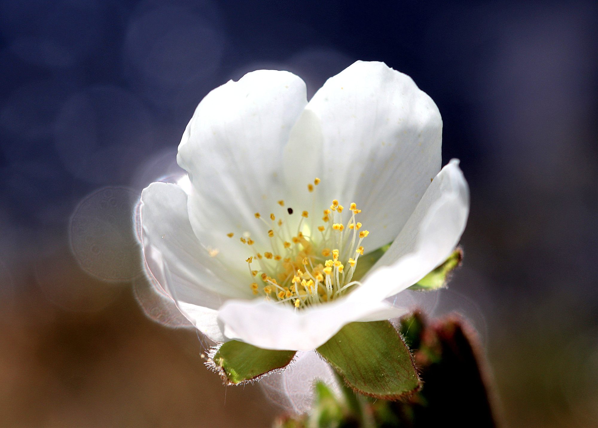 Valokuvaaja: Irja Lehtinen