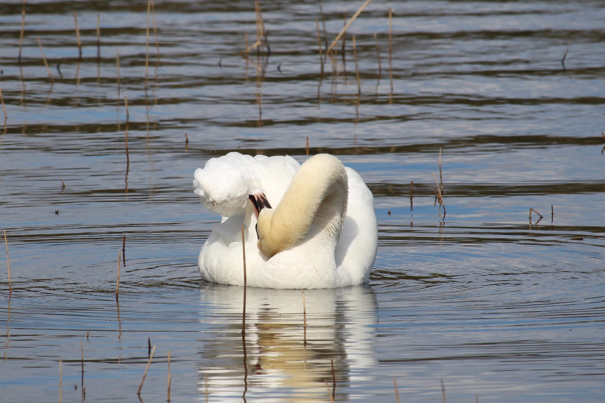 Valokuvaaja: Kirsi-Marja Joenpolvi