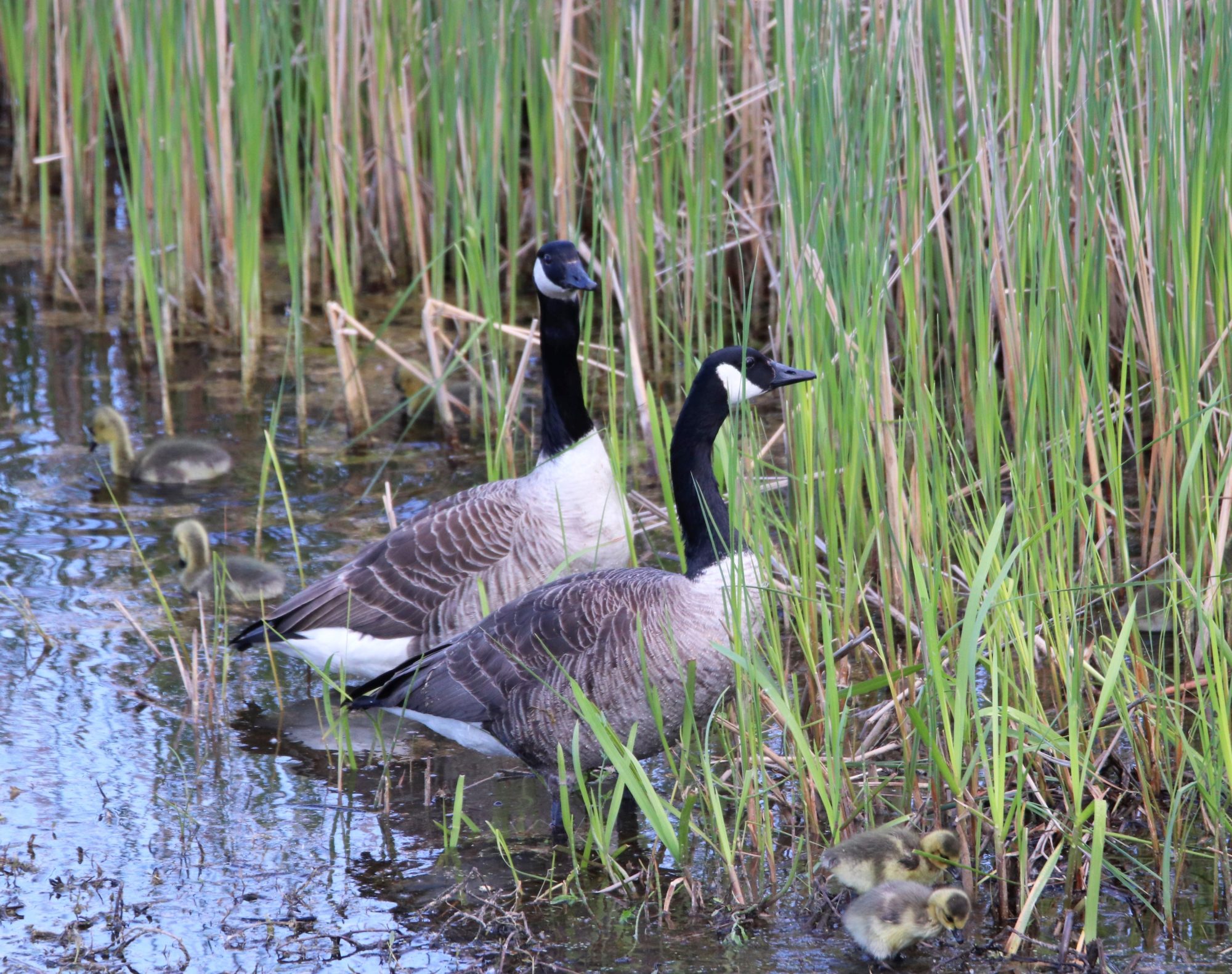 Valokuvaaja: Irja Lehtinen