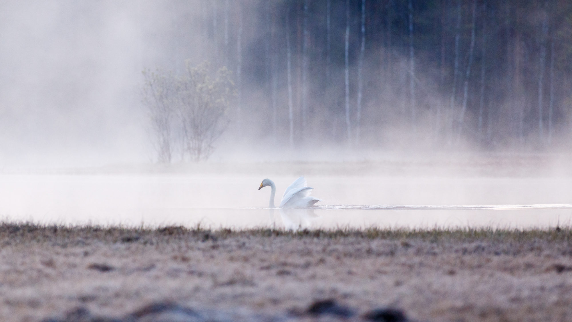 Valokuvaaja: Antti Toivanen Valokuvaaja: Antti Toivanen