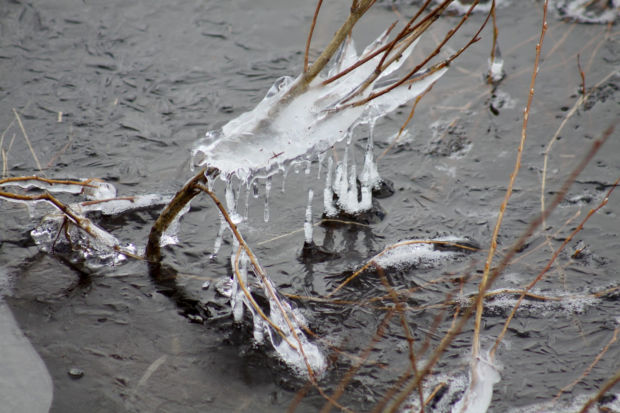 Valokuvaaja: Pirkko Siukonen