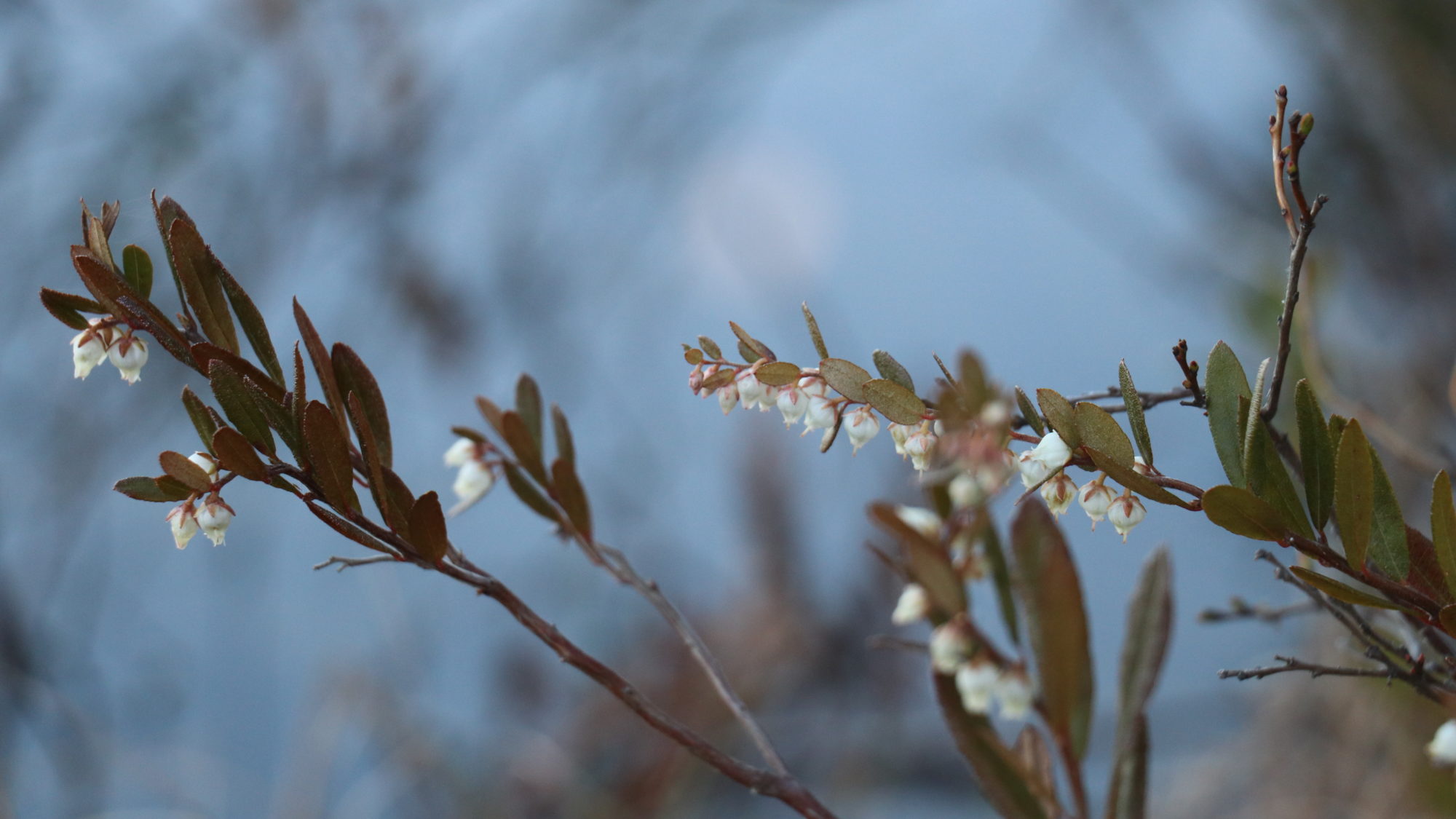 Valokuvaaja: SINIKKA KUJALA