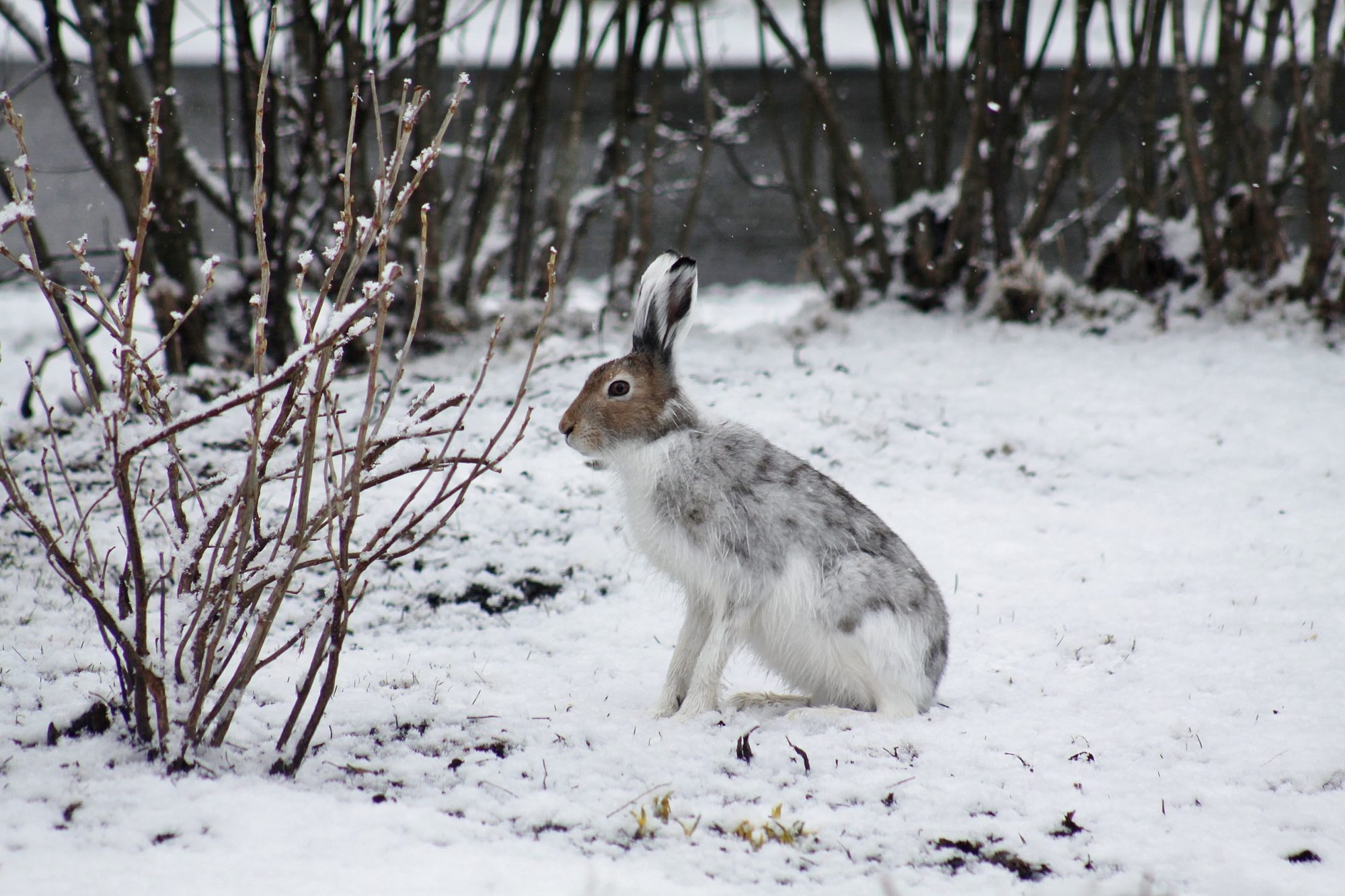 Valokuvaaja: Pirkko Siukonen