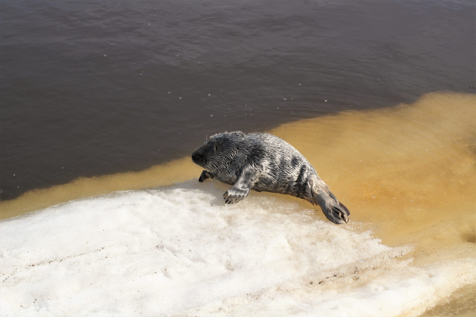 Valokuvaaja: Milla Pihlajaviita Valokuvaaja: Milla Pihlajaviita
