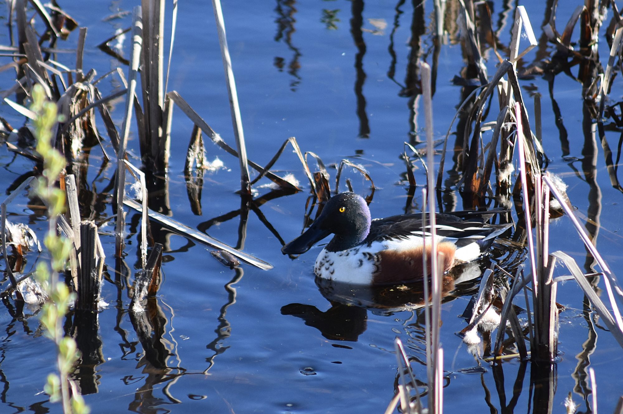 Valokuvaaja: Kati Wink