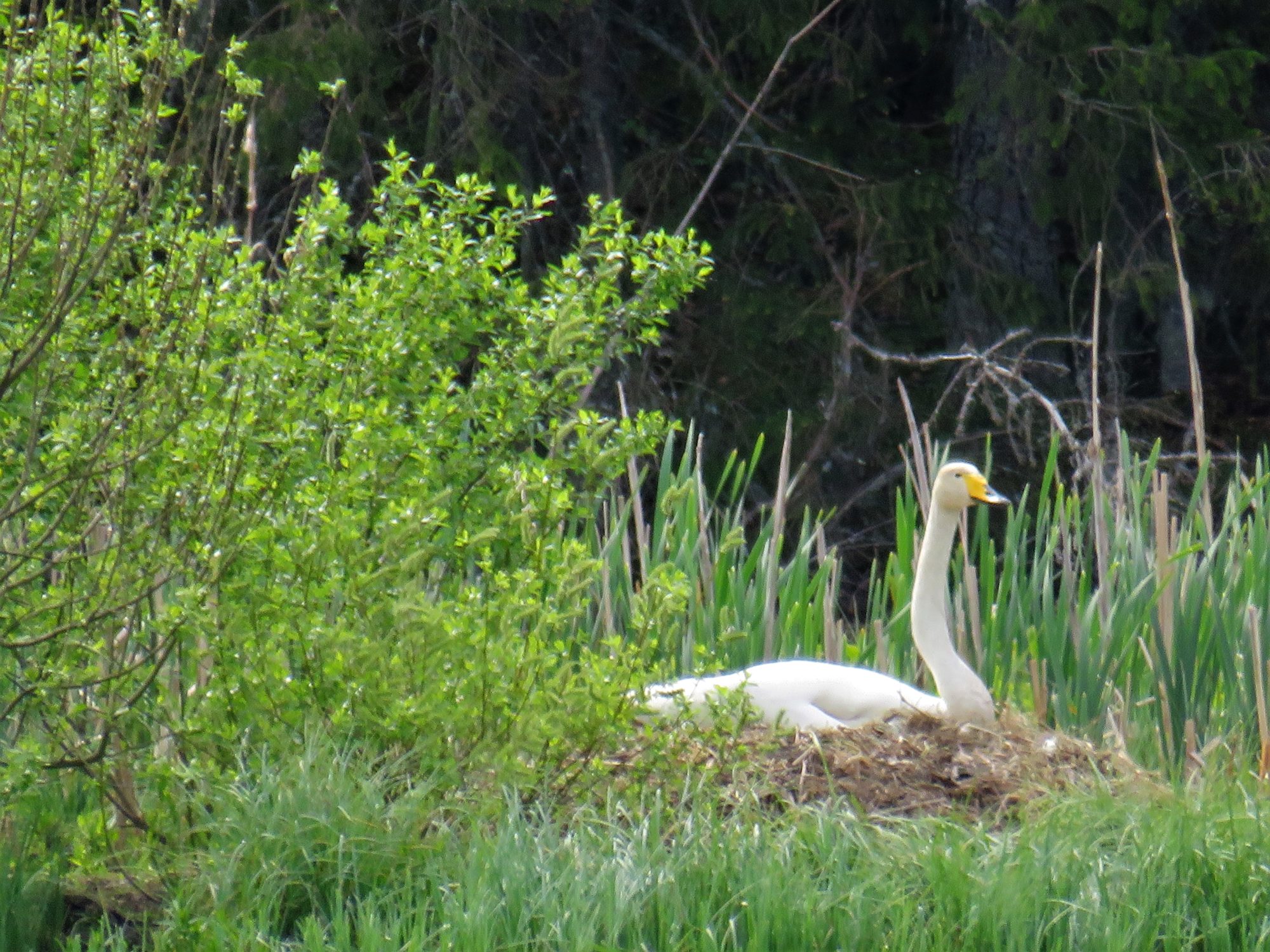 Valokuvaaja: Jukka Rönkä