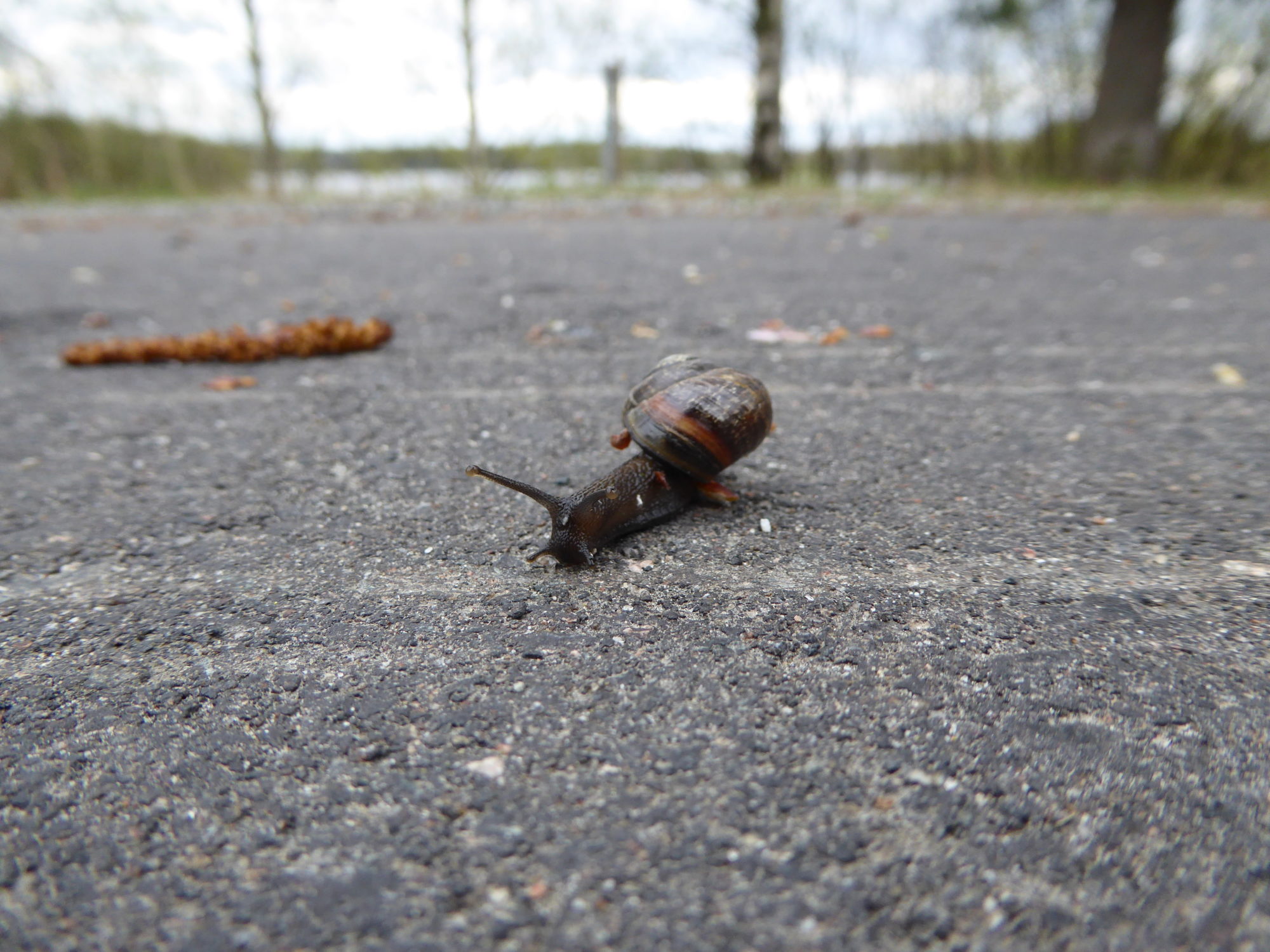 Valokuvaaja: Toni Asikainen