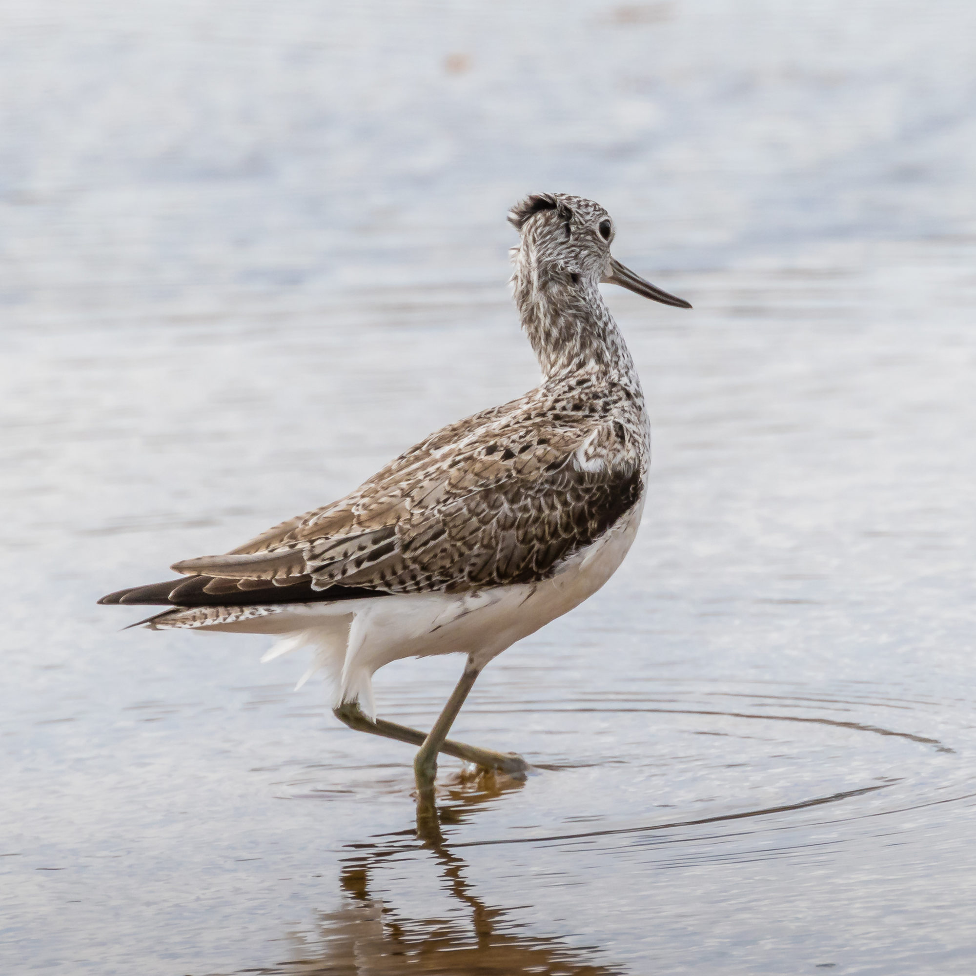 Valokuvaaja: Mikko Kallio