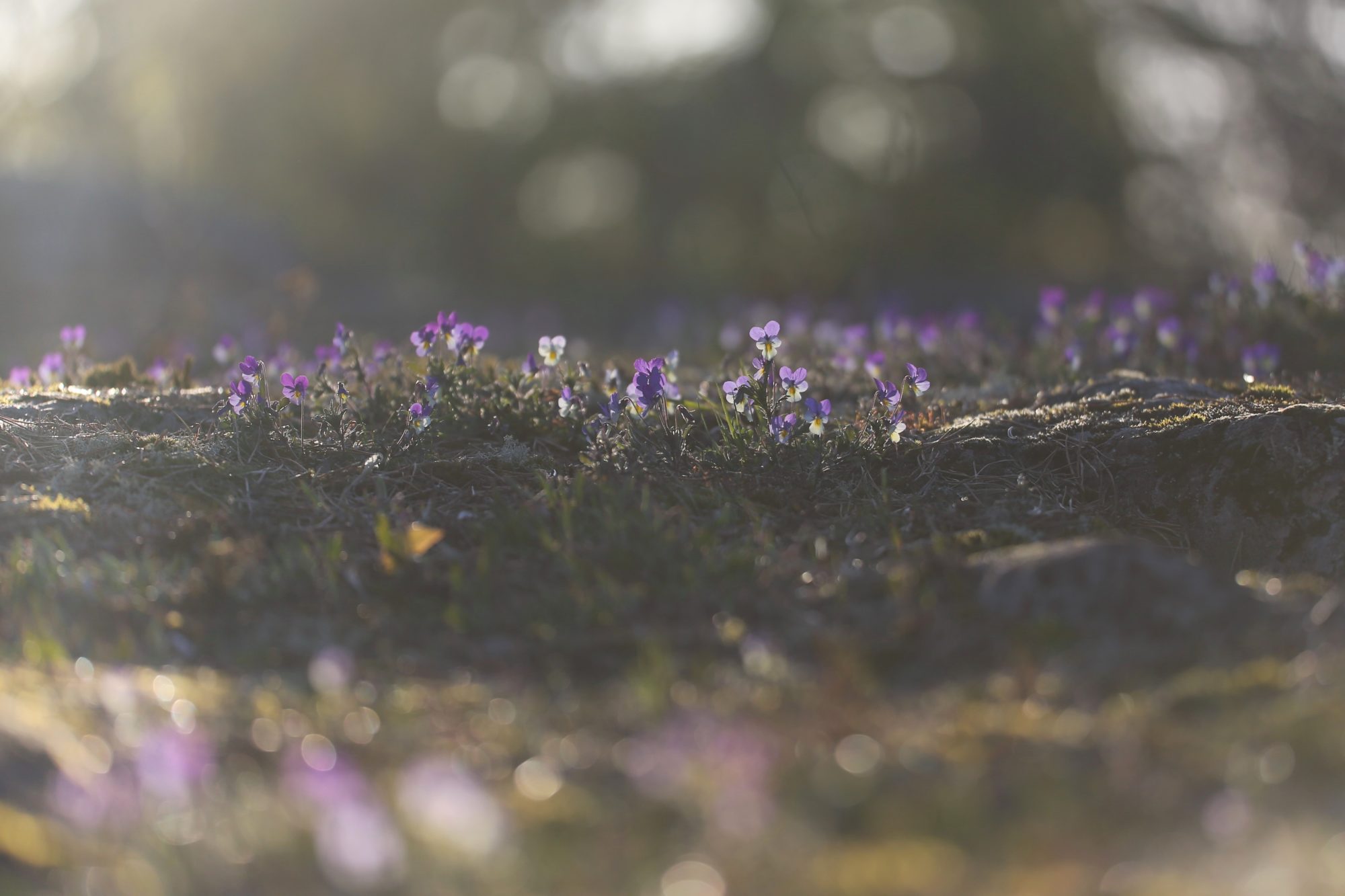 Valokuvaaja: Anna Tuominen