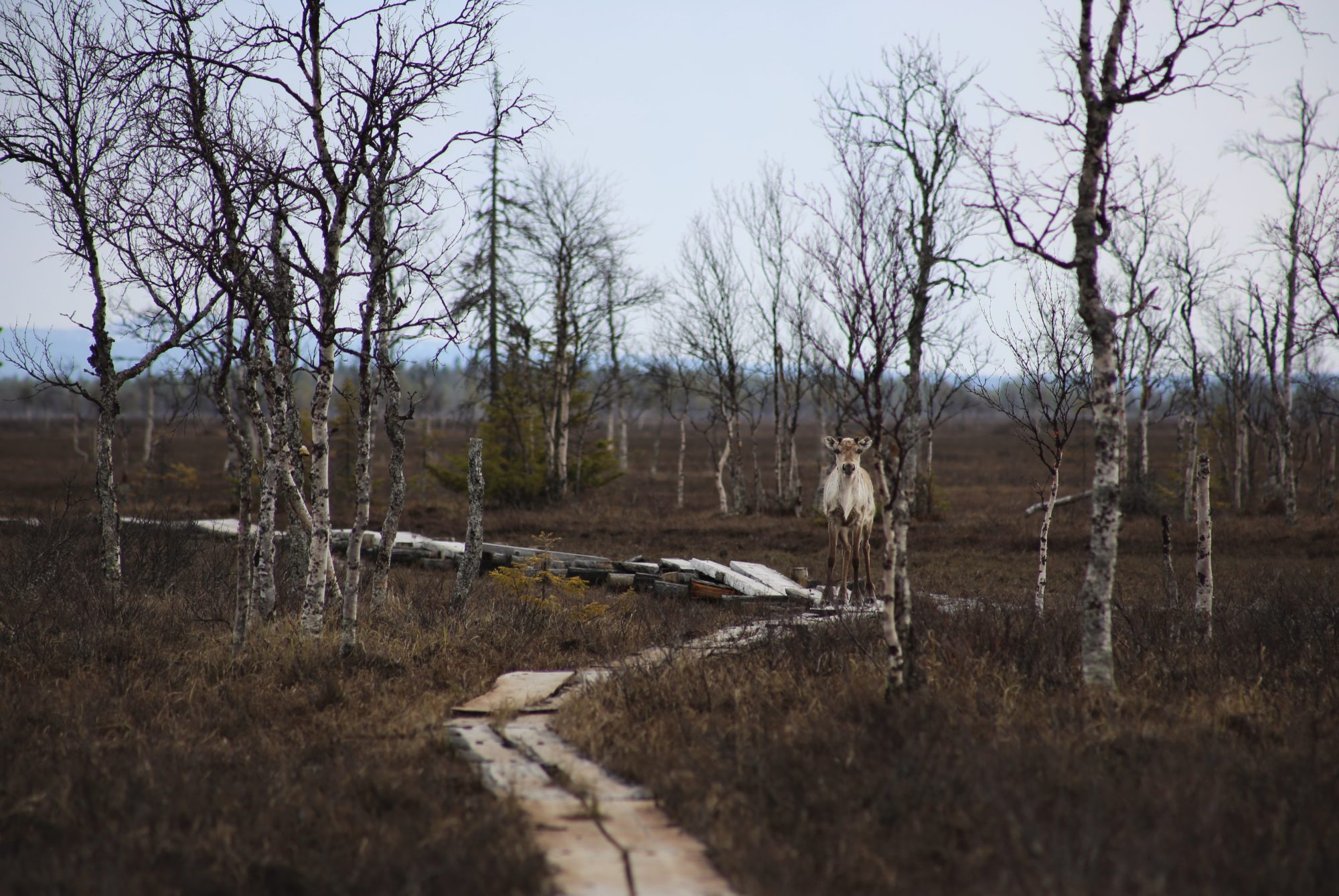 Valokuvaaja: Anna Tuominen