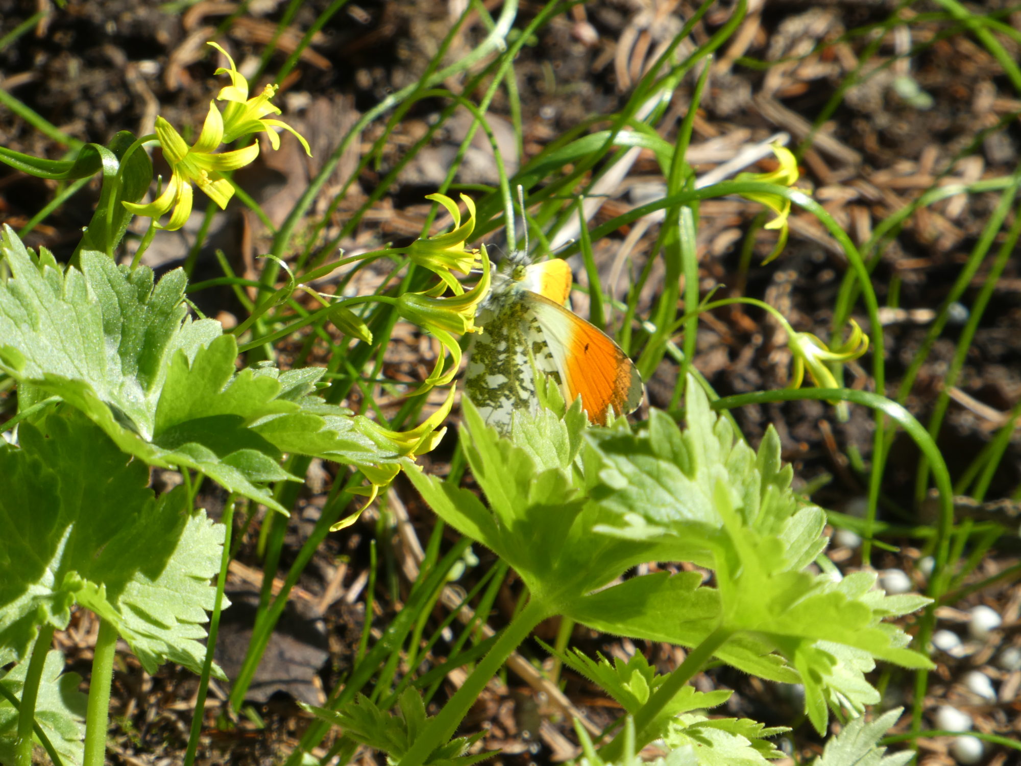 Valokuvaaja: Anja Mustamaa