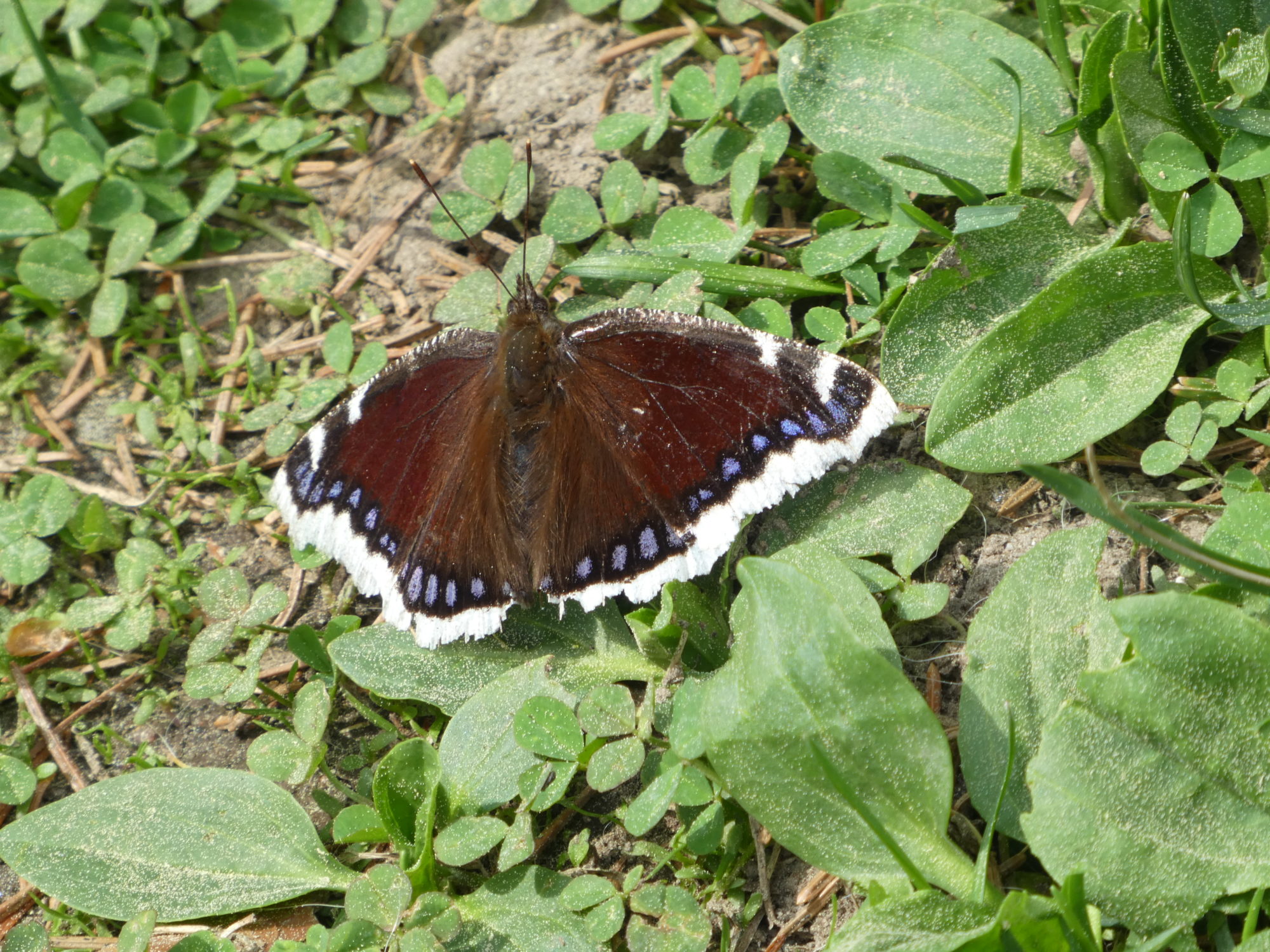 Valokuvaaja: Anja Mustamaa