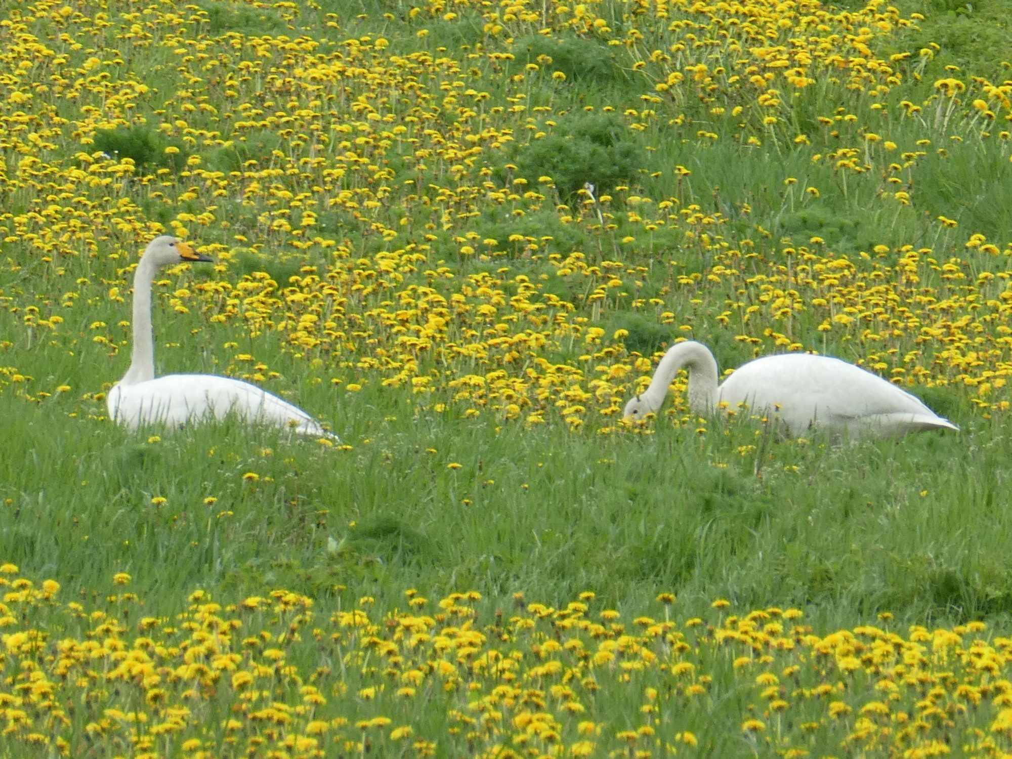 Valokuvaaja: Anja Mustamaa