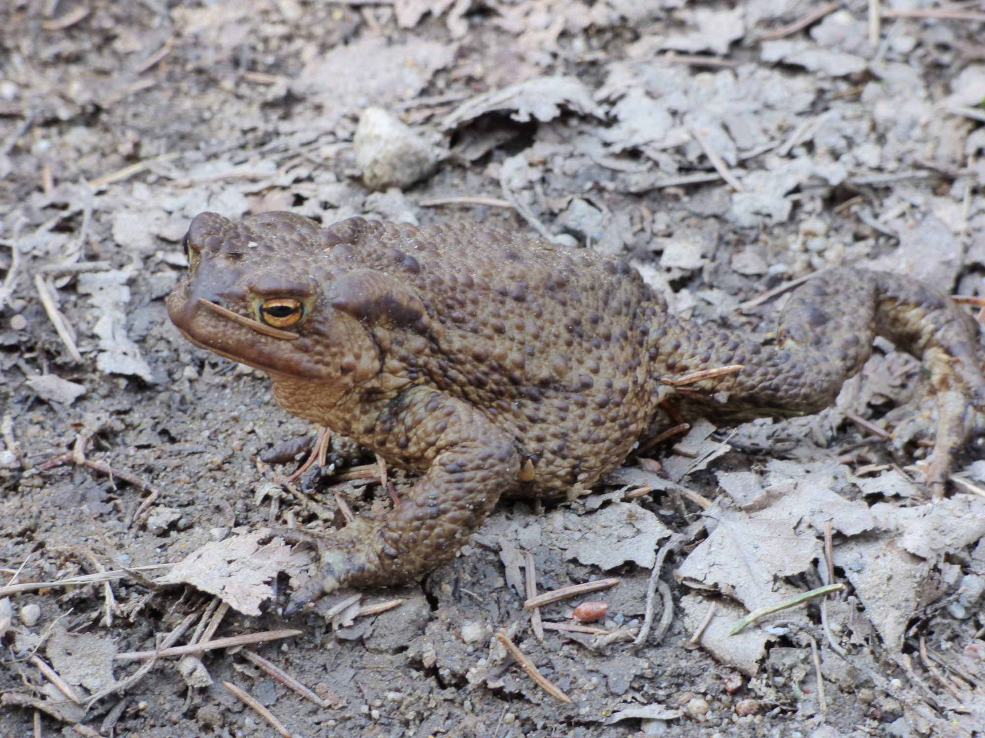 Valokuvaaja: Hannu Rissanen