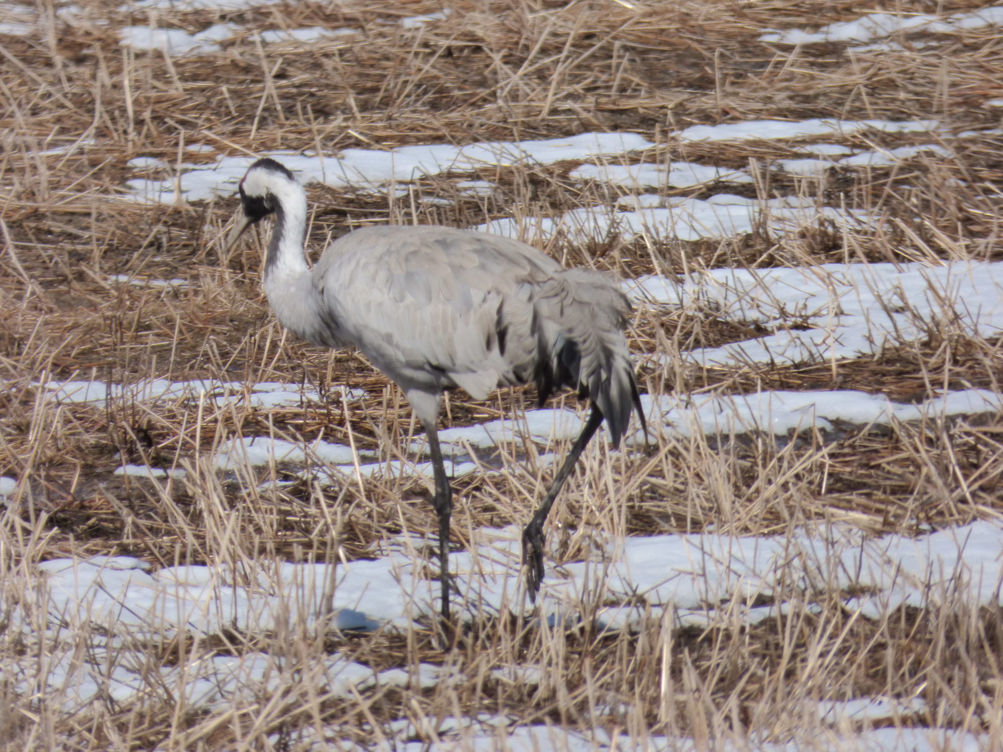 Valokuvaaja: Hannu Rissanen