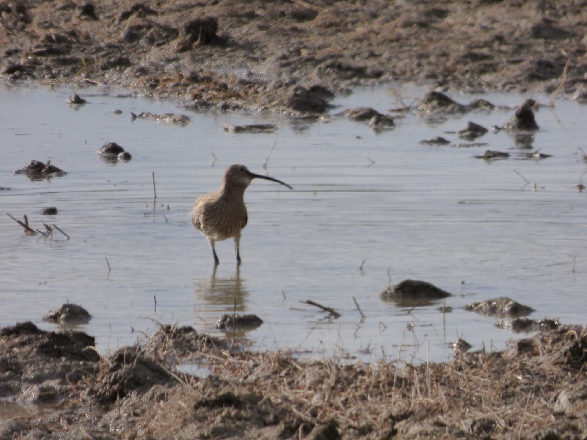 Valokuvaaja: hannu rissanen