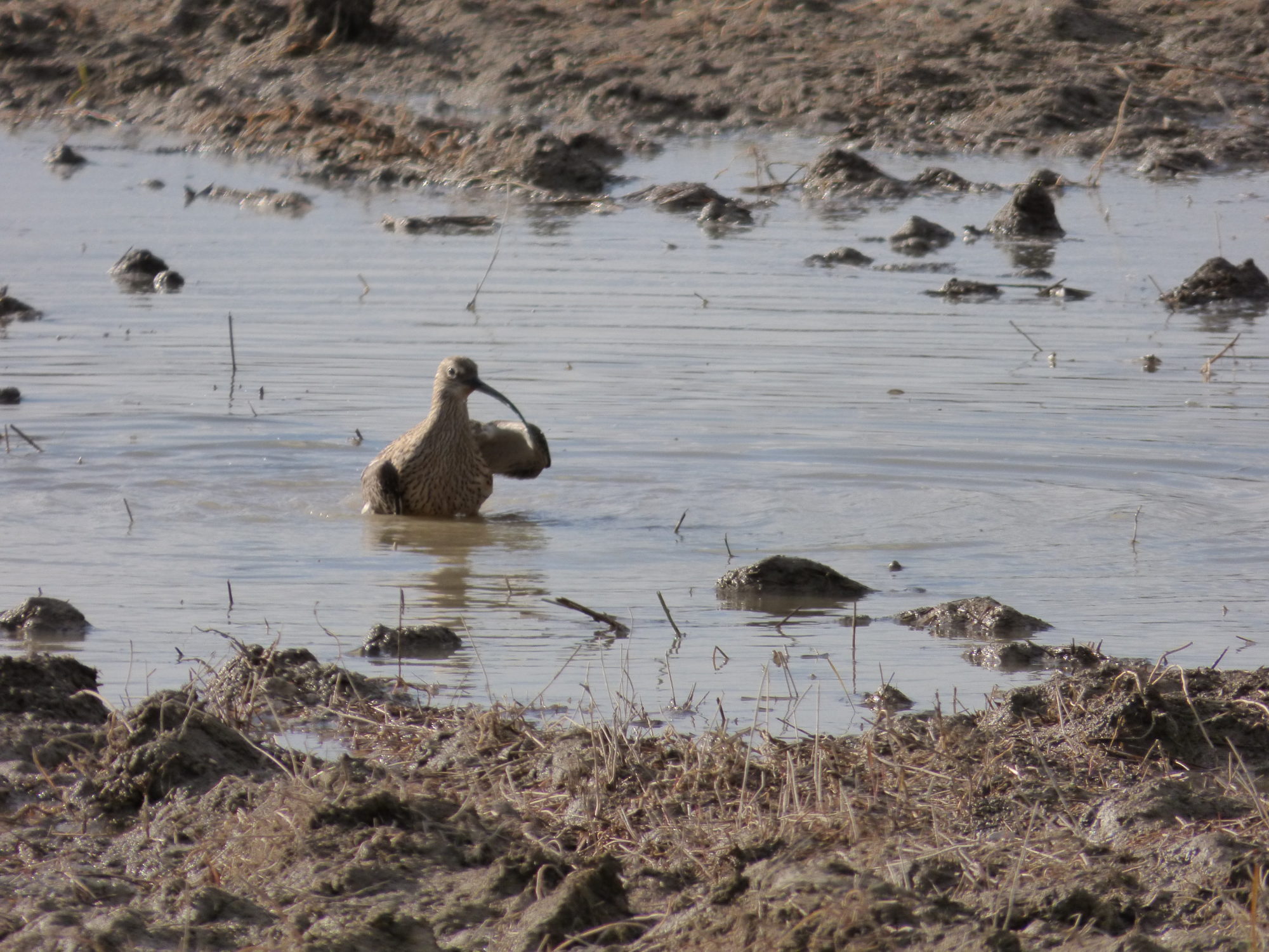 Valokuvaaja: Hannu Rissanen