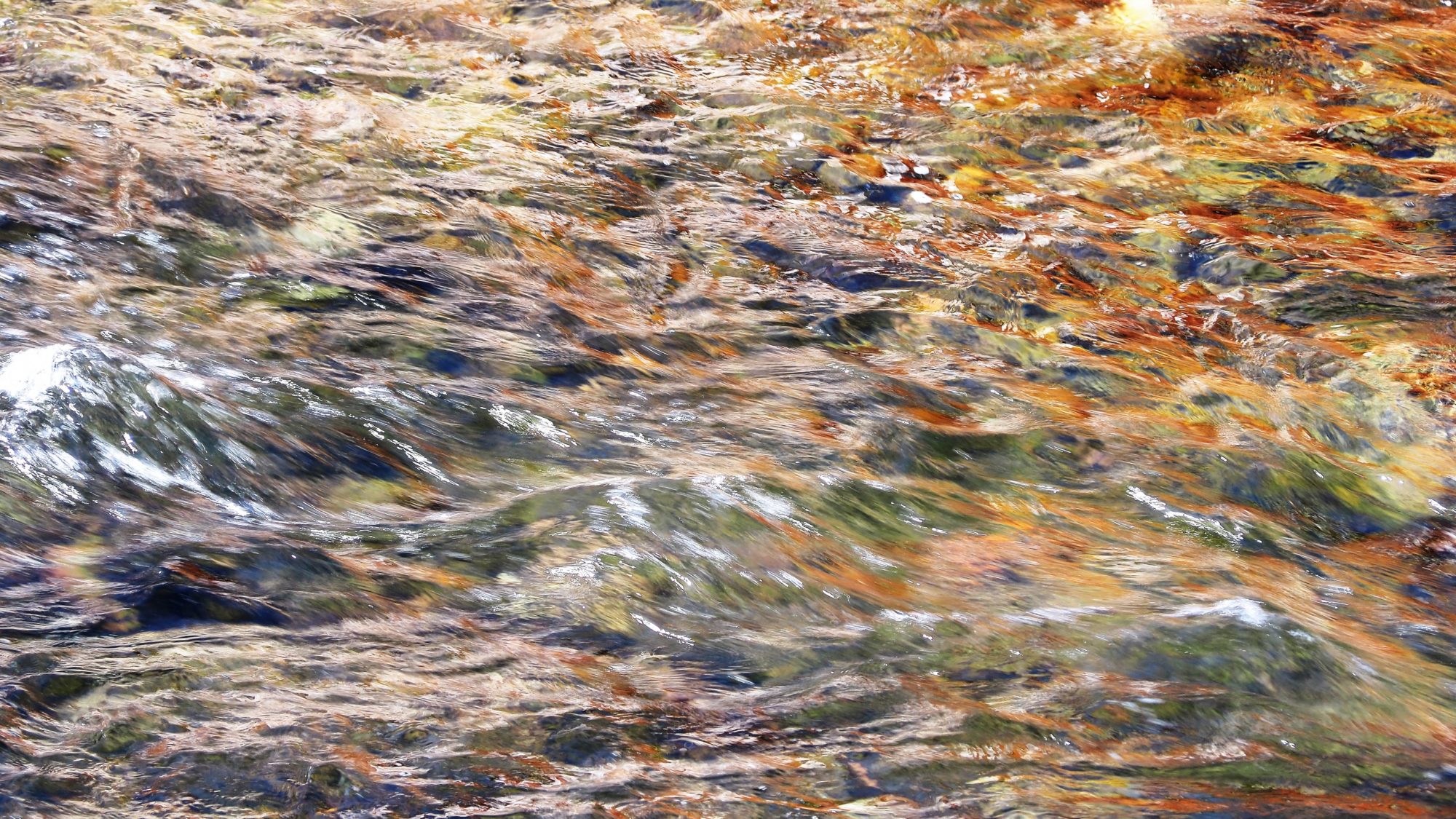 Valokuvaaja: Arja Valtonen