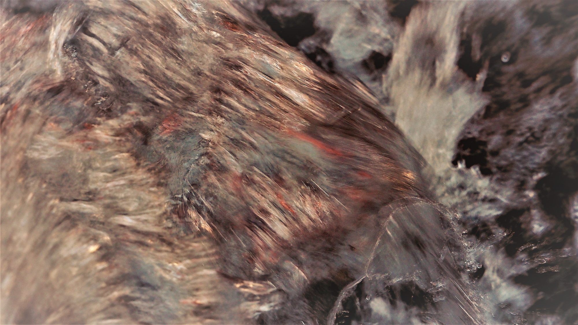 Valokuvaaja: Arja Valtonen