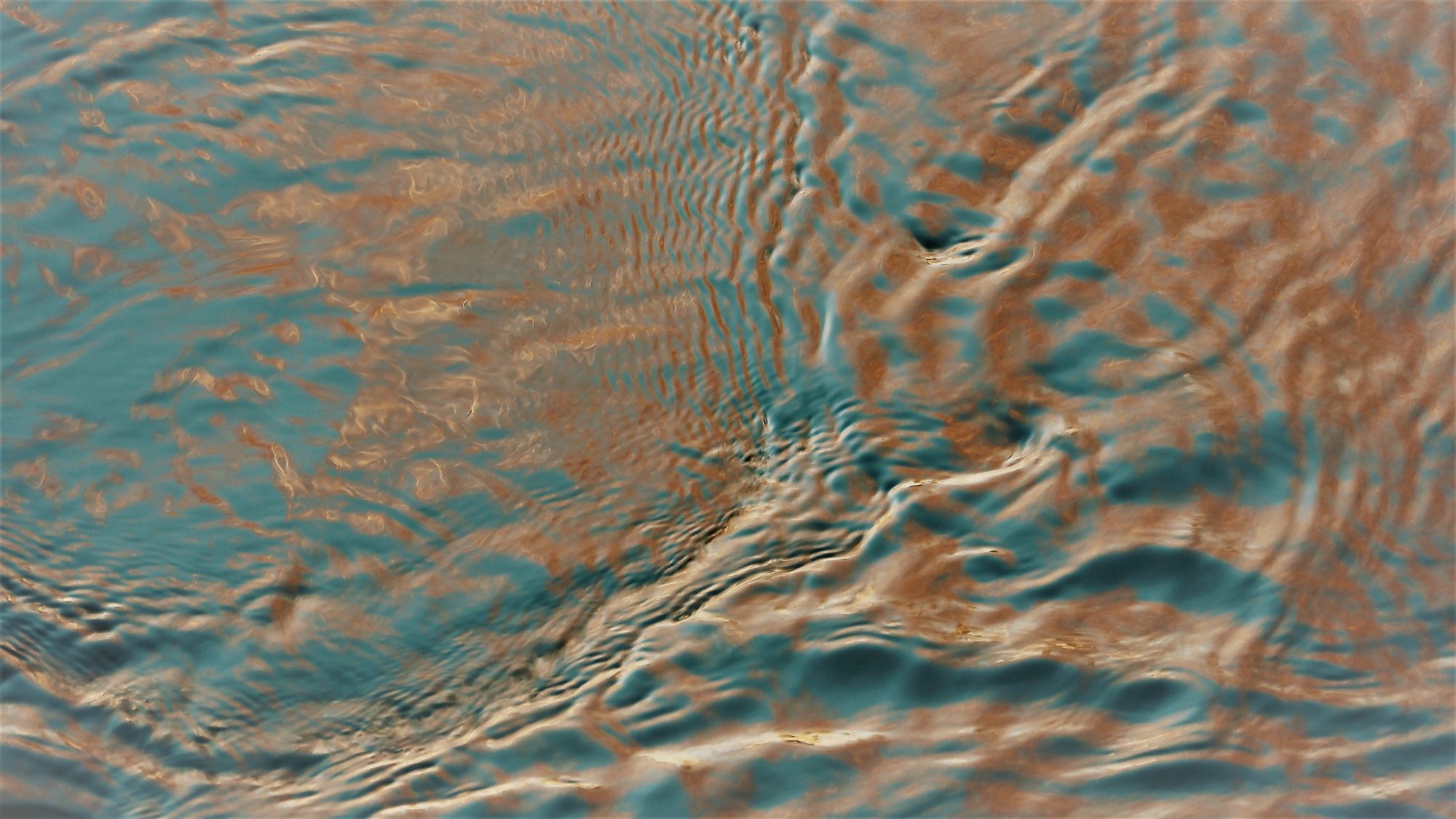 Valokuvaaja: Arja Valtonen Valokuvaaja: Arja Valtonen