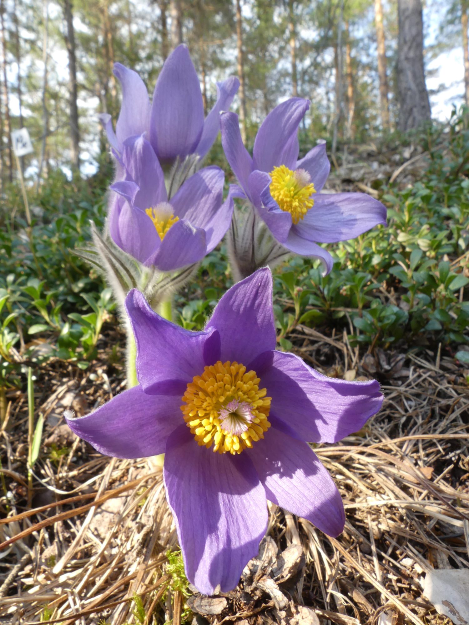 Valokuvaaja: Martti Valtonen