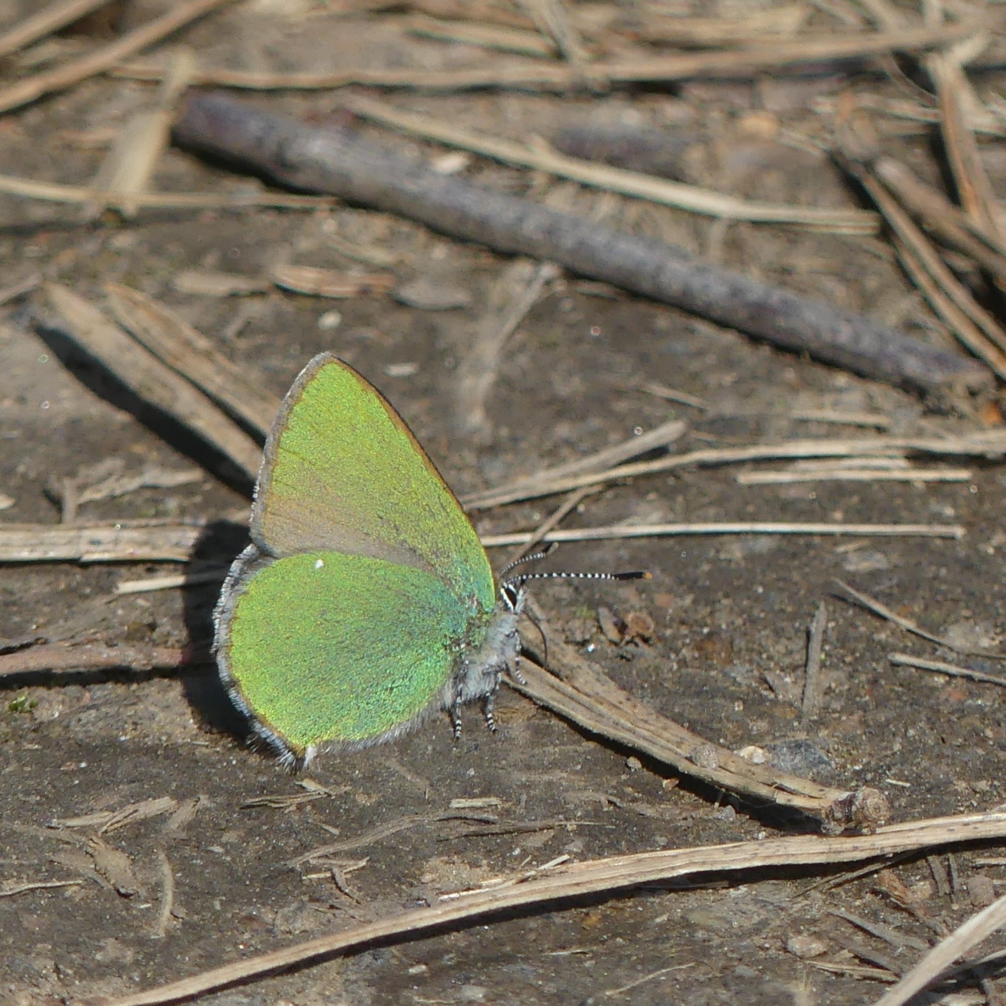 Valokuvaaja: Martti Valtonen Valokuvaaja: Martti Valtonen
