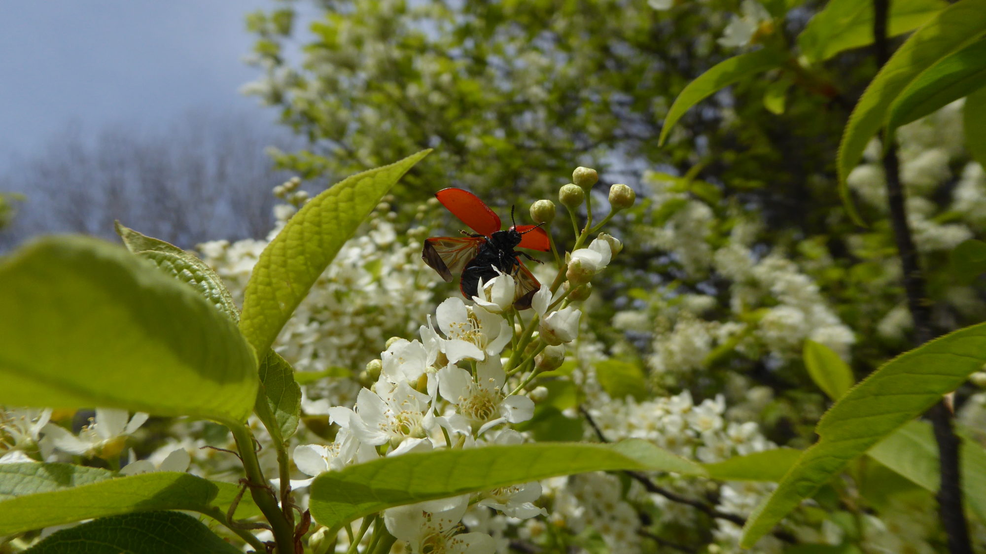 Valokuvaaja: Arja Valtonen
