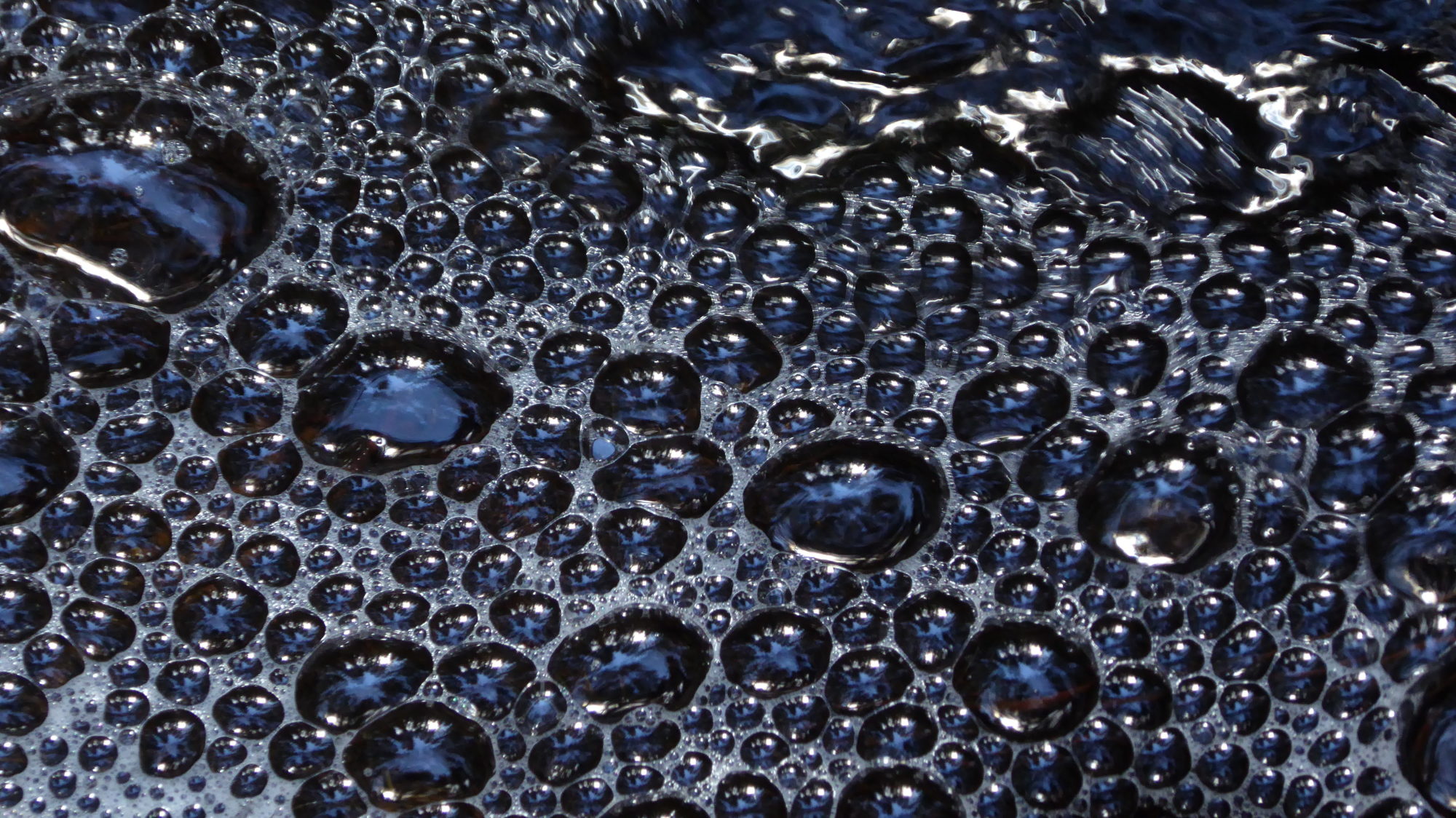 Valokuvaaja: Arja Valtonen