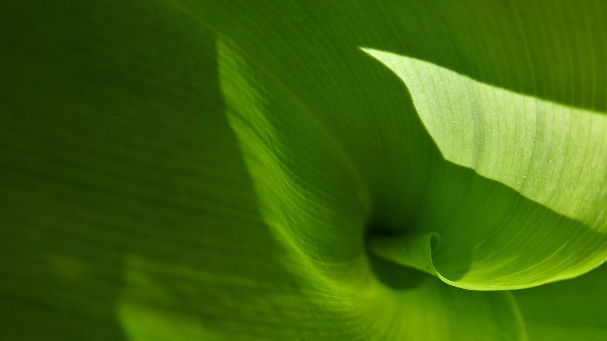 Valokuvaaja: Arja Valtonen