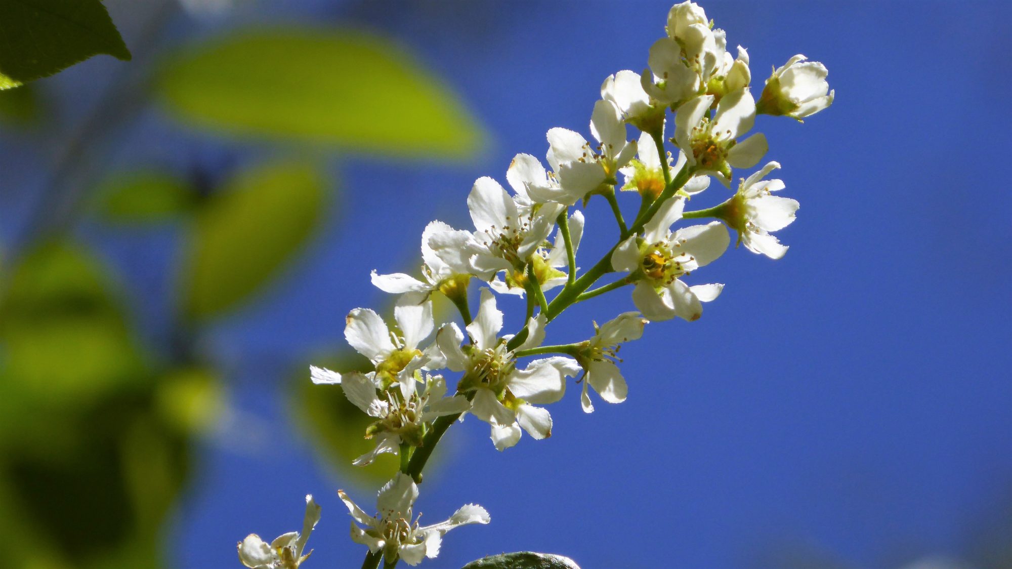 Valokuvaaja: Arja Valtonen