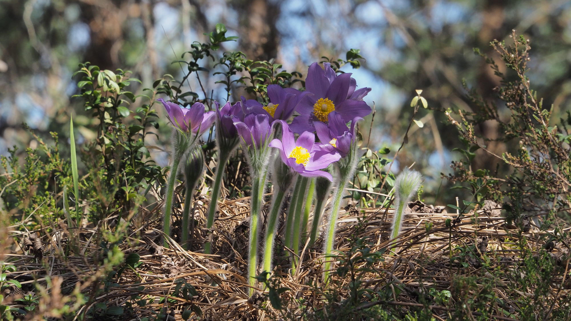 Valokuvaaja: Arja Valtonen
