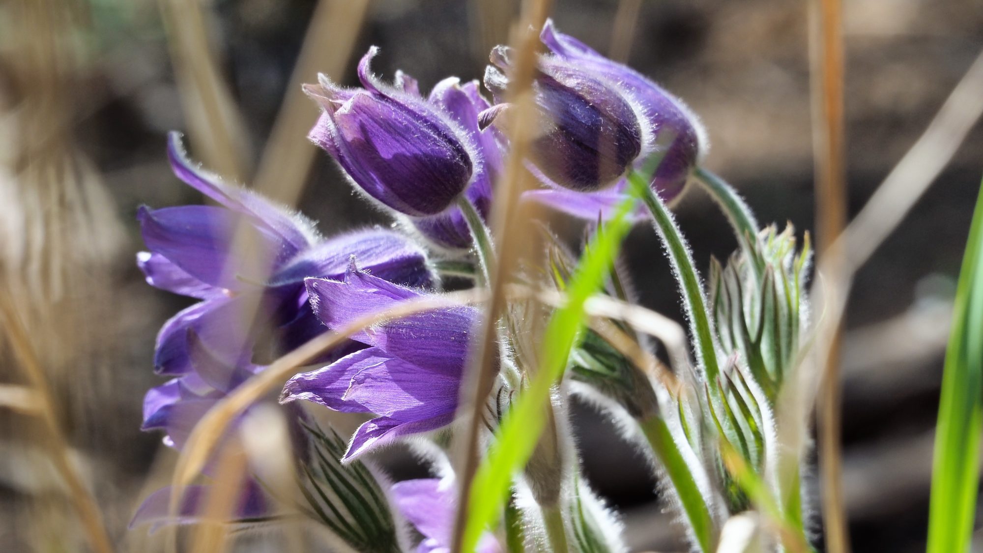 Valokuvaaja: Arja Valtonen Valokuvaaja: Arja Valtonen
